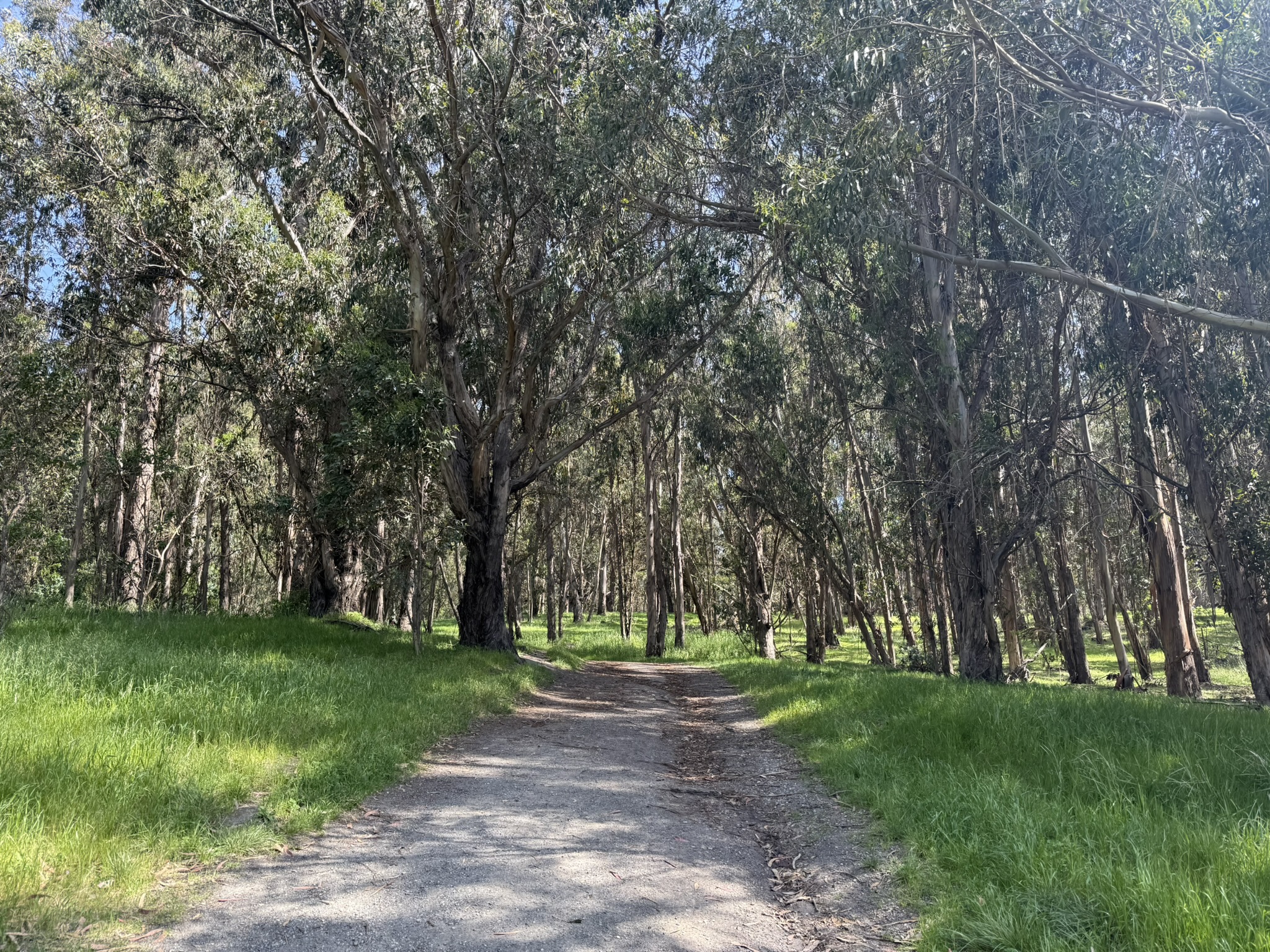Point Pinole Regional Shoreline