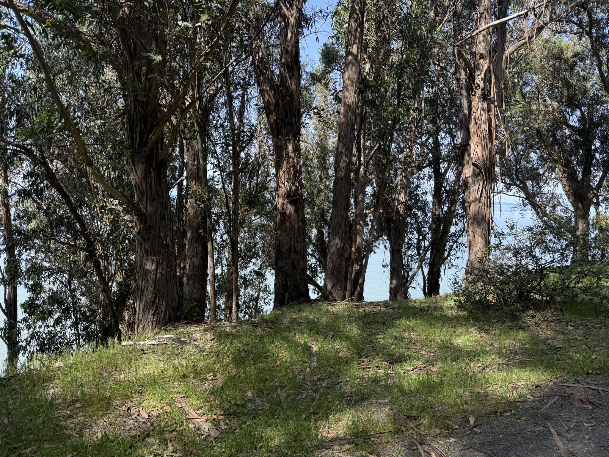 Point Pinole Regional Shoreline