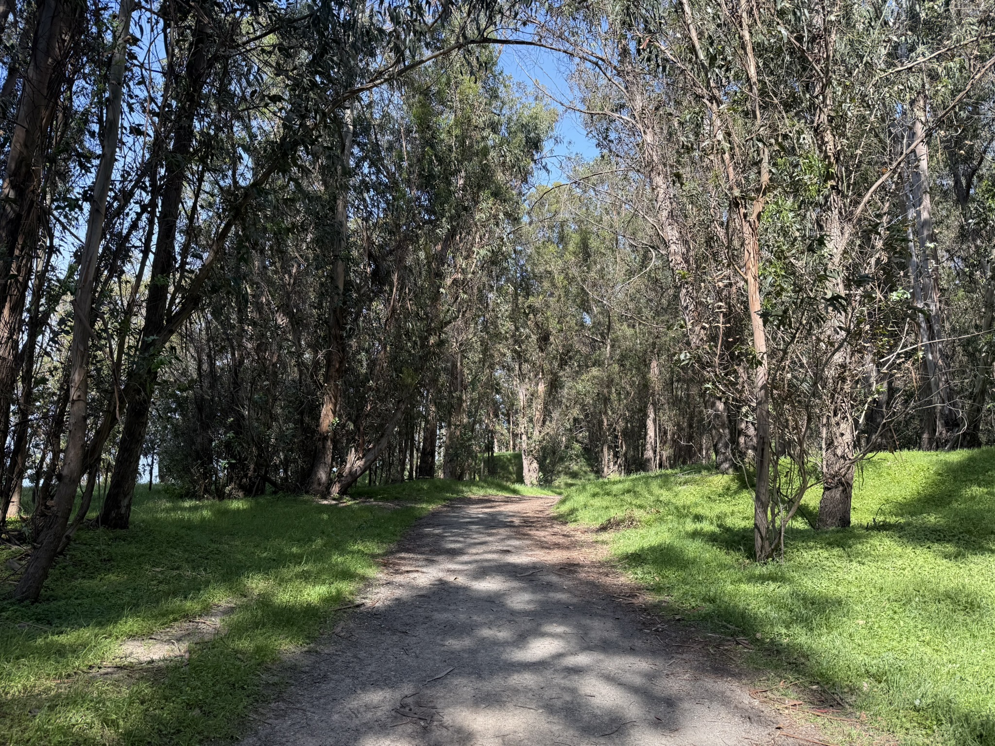 Point Pinole Regional Shoreline