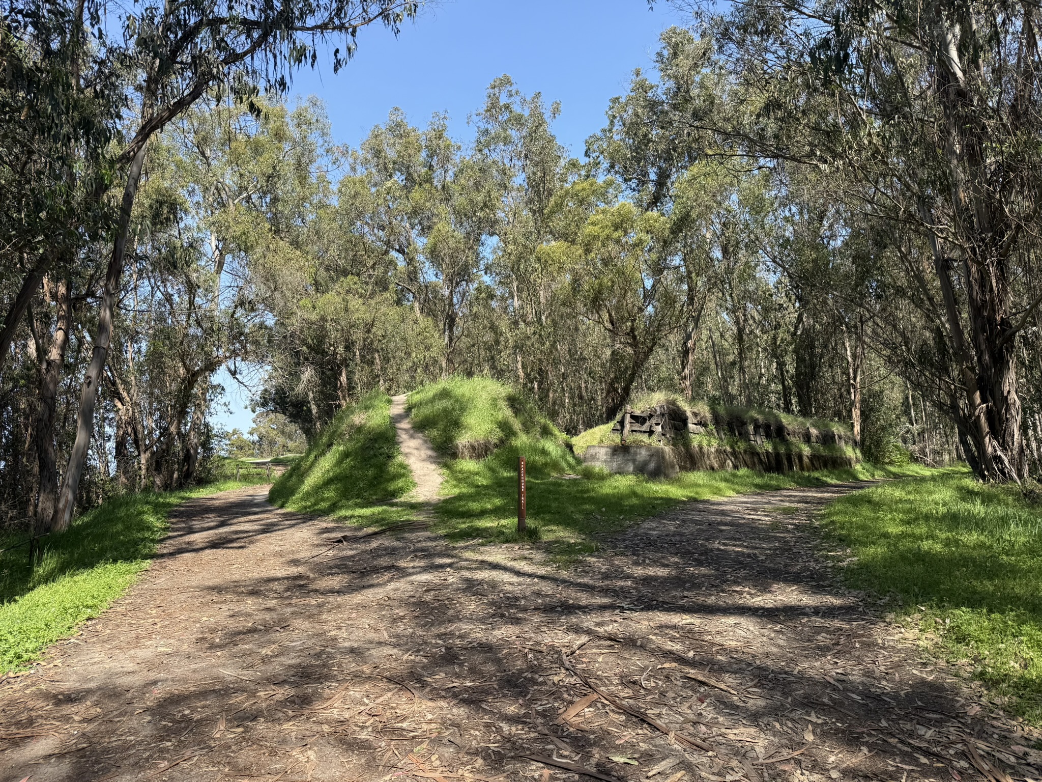 Point Pinole Regional Shoreline