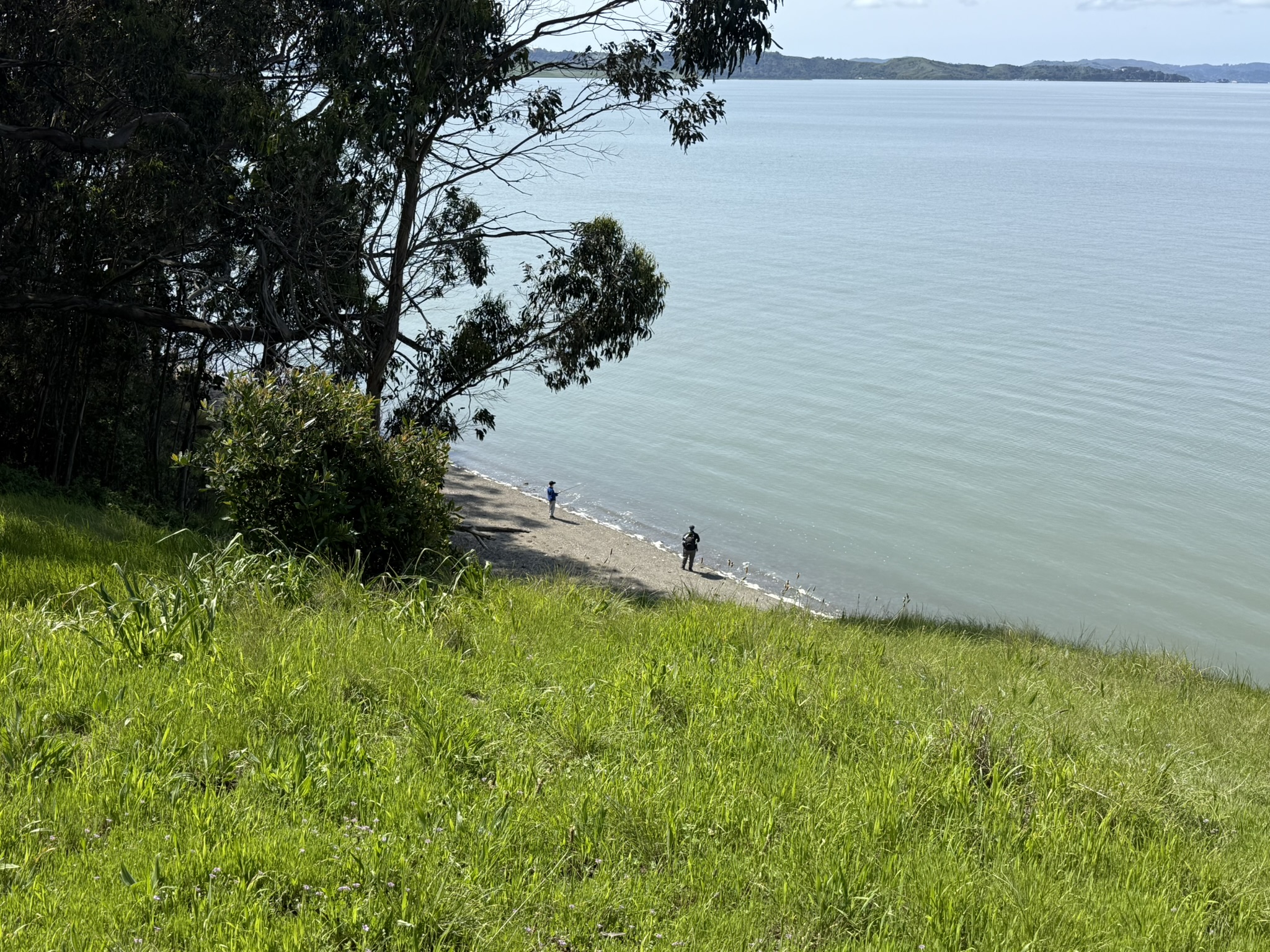 Point Pinole Regional Shoreline