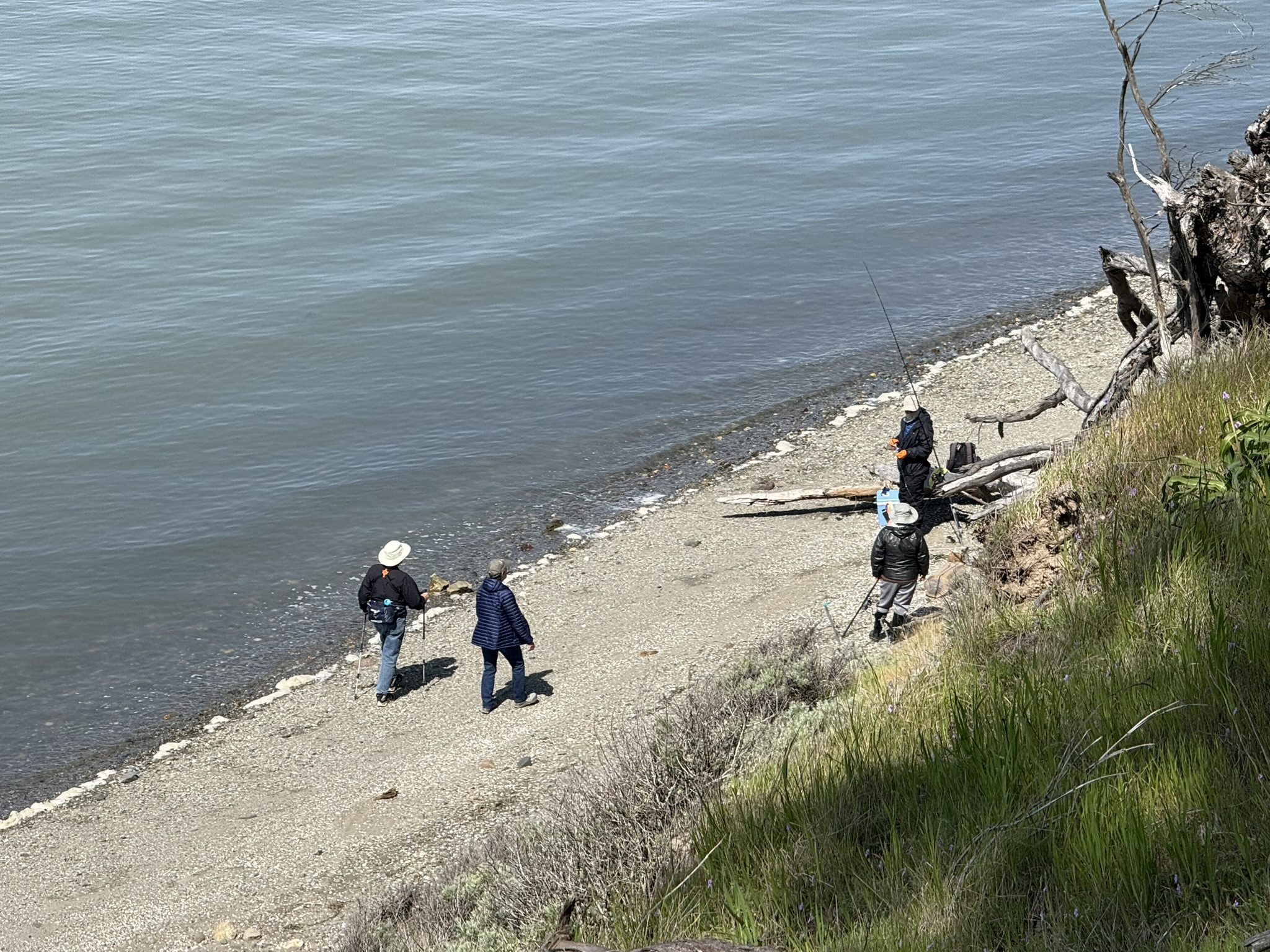 Point Pinole Regional Shoreline