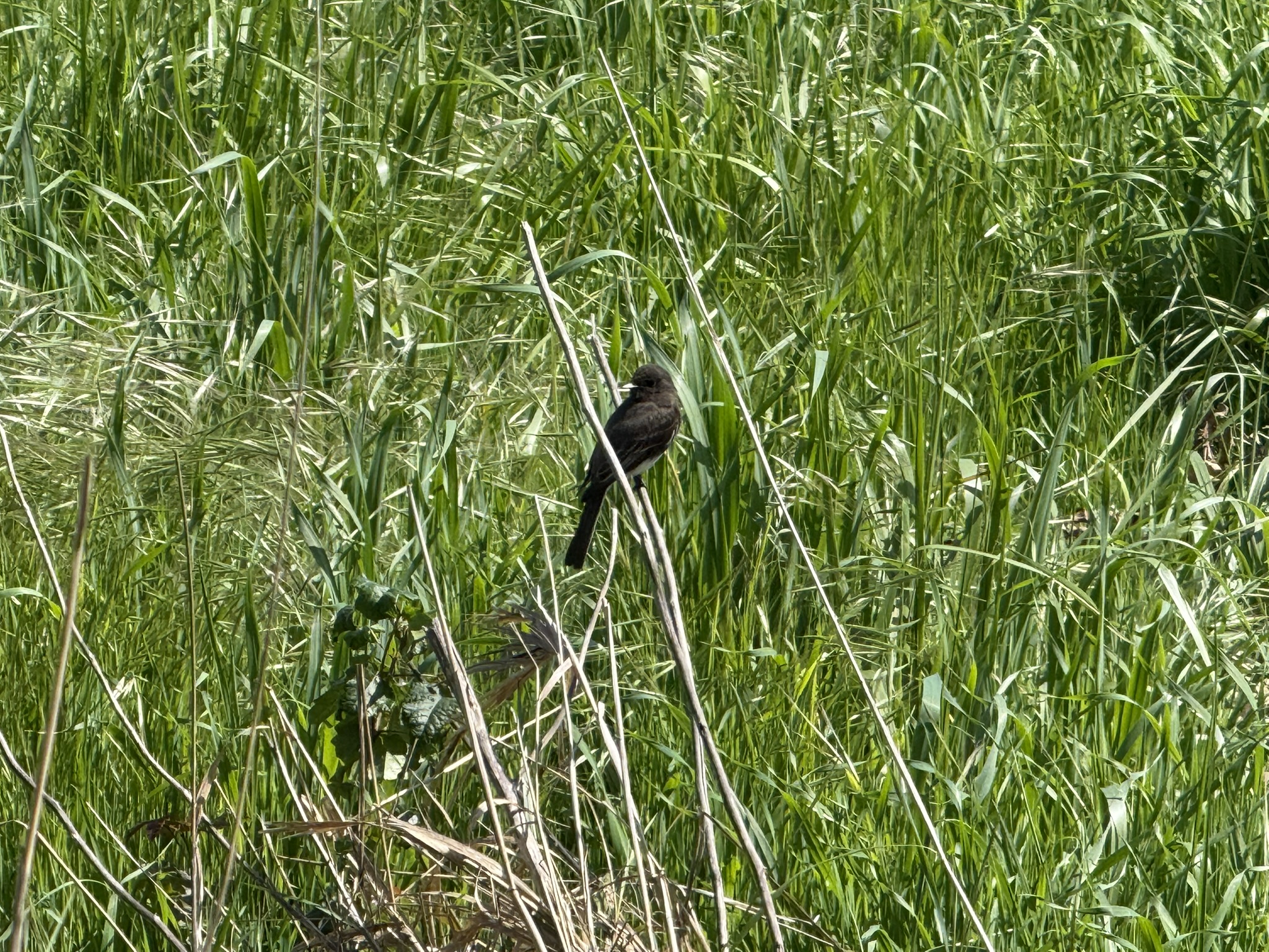 Point Pinole Regional Shoreline