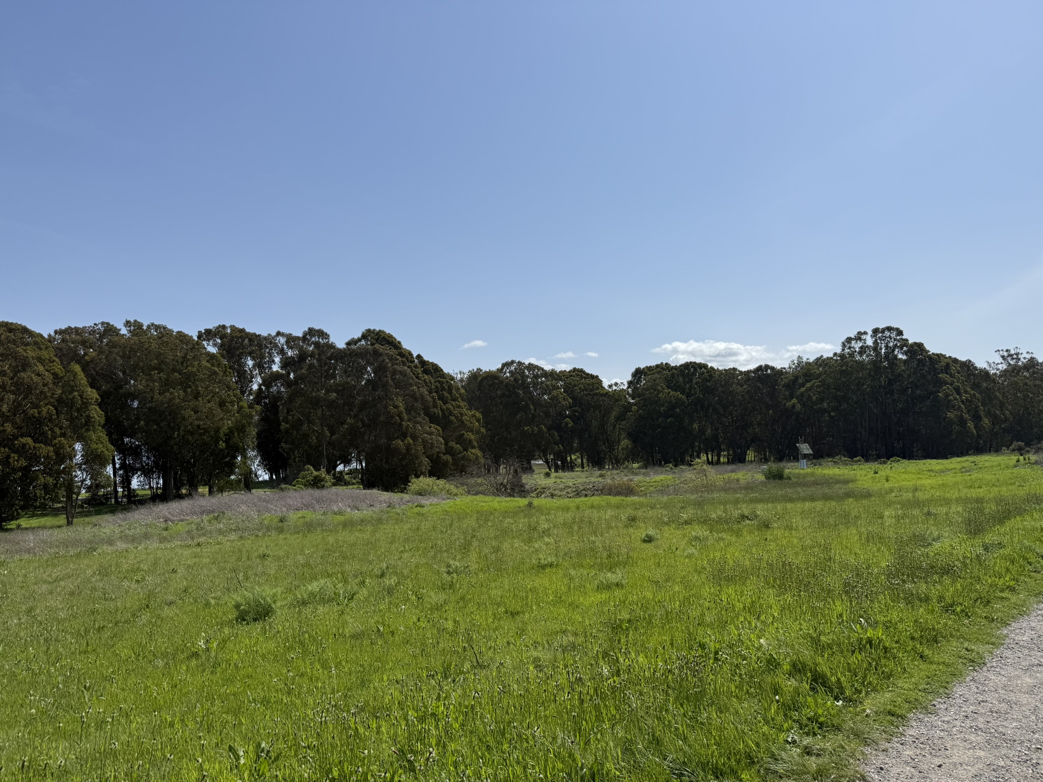 Point Pinole Regional Shoreline