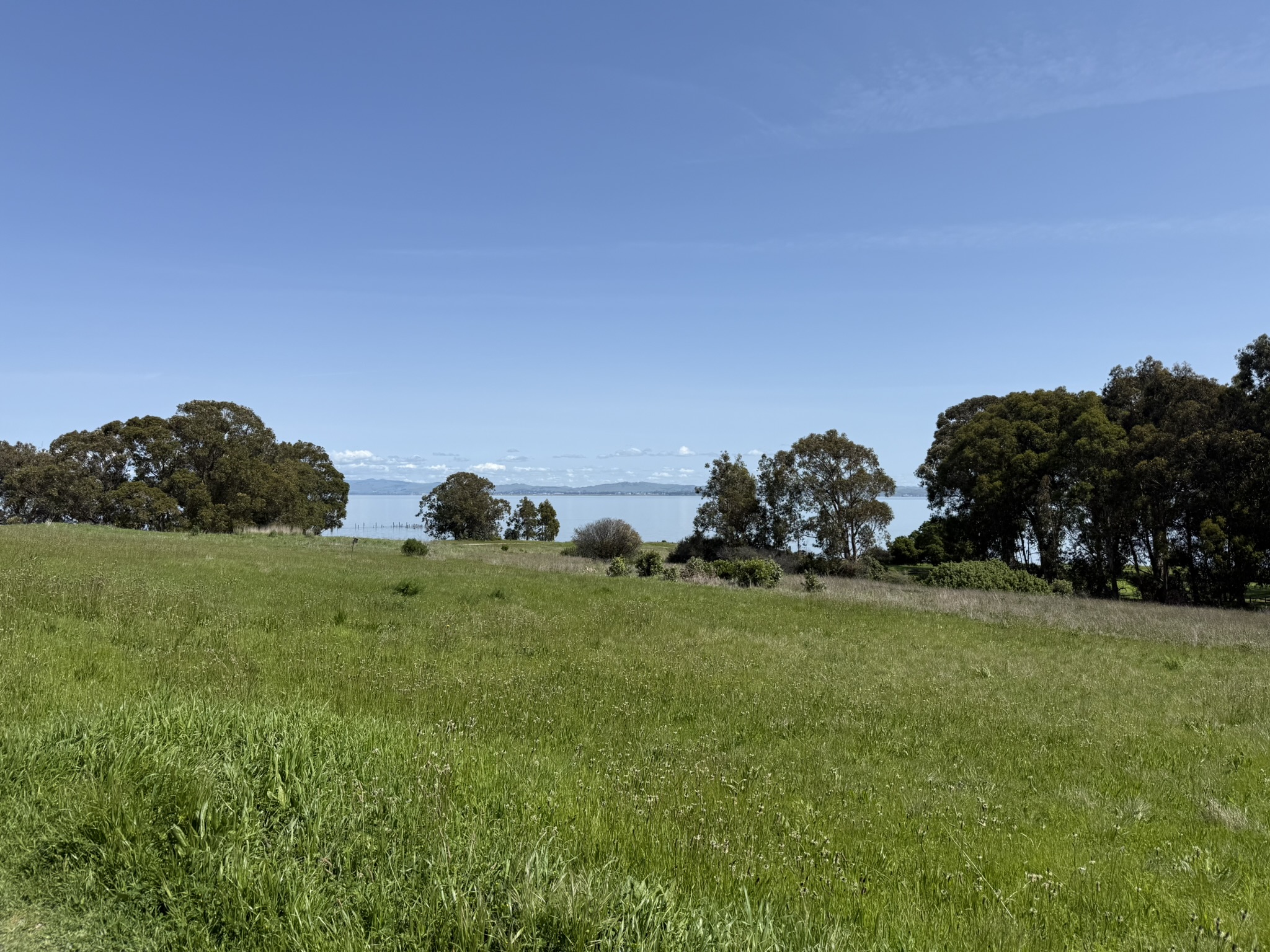 Point Pinole Regional Shoreline