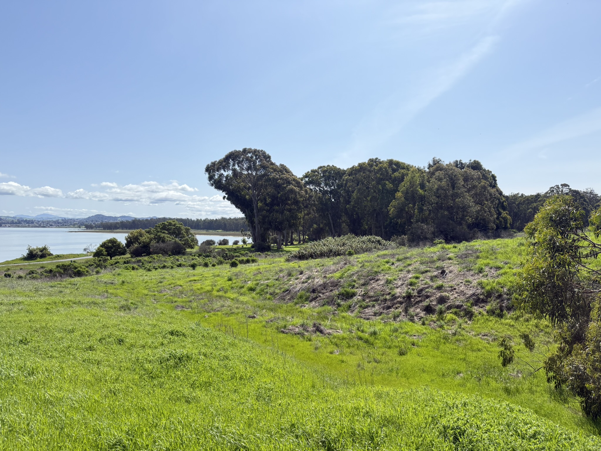Point Pinole Regional Shoreline