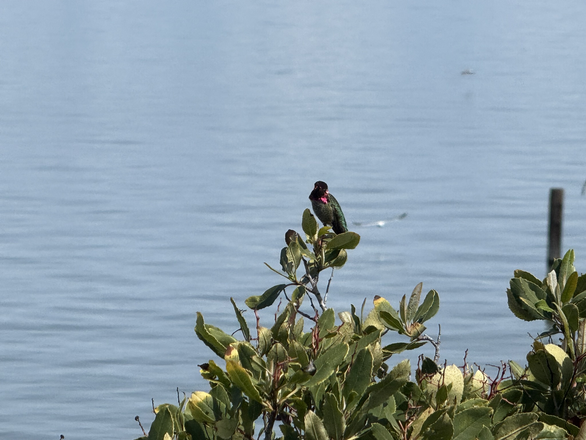 Point Pinole Regional Shoreline