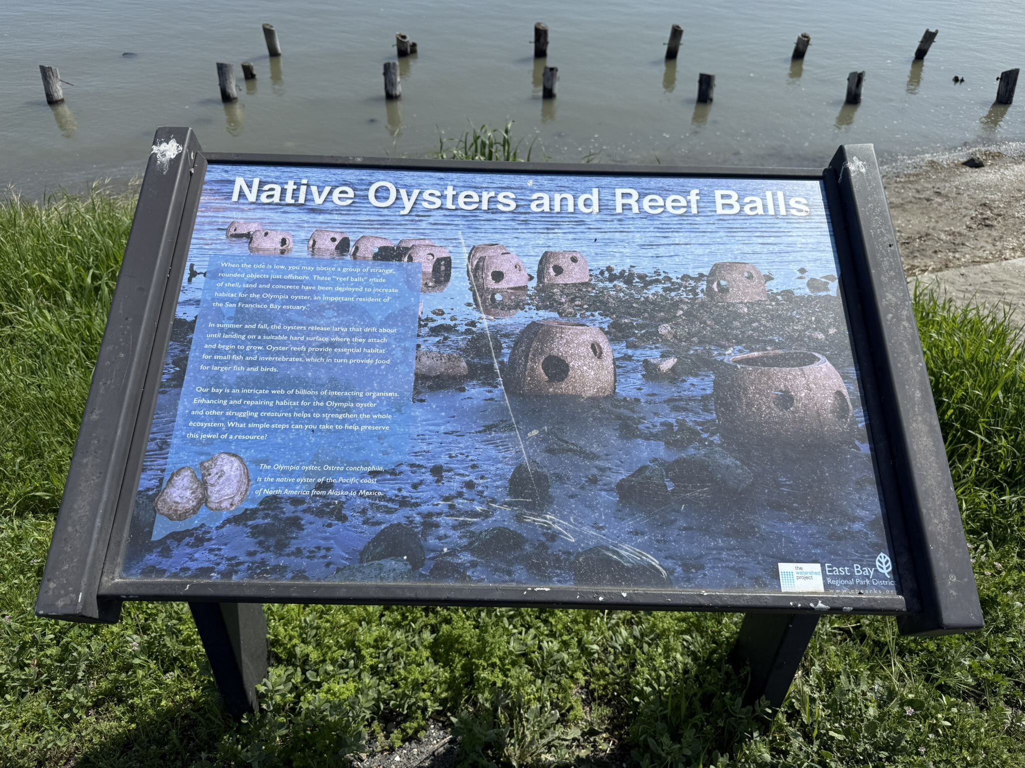 Point Pinole Regional Shoreline