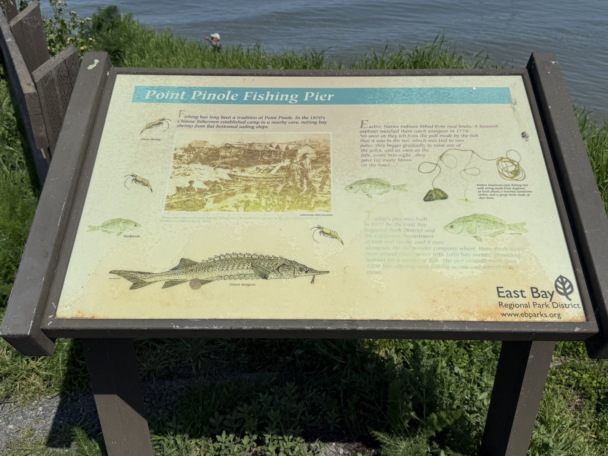 Point Pinole Regional Shoreline