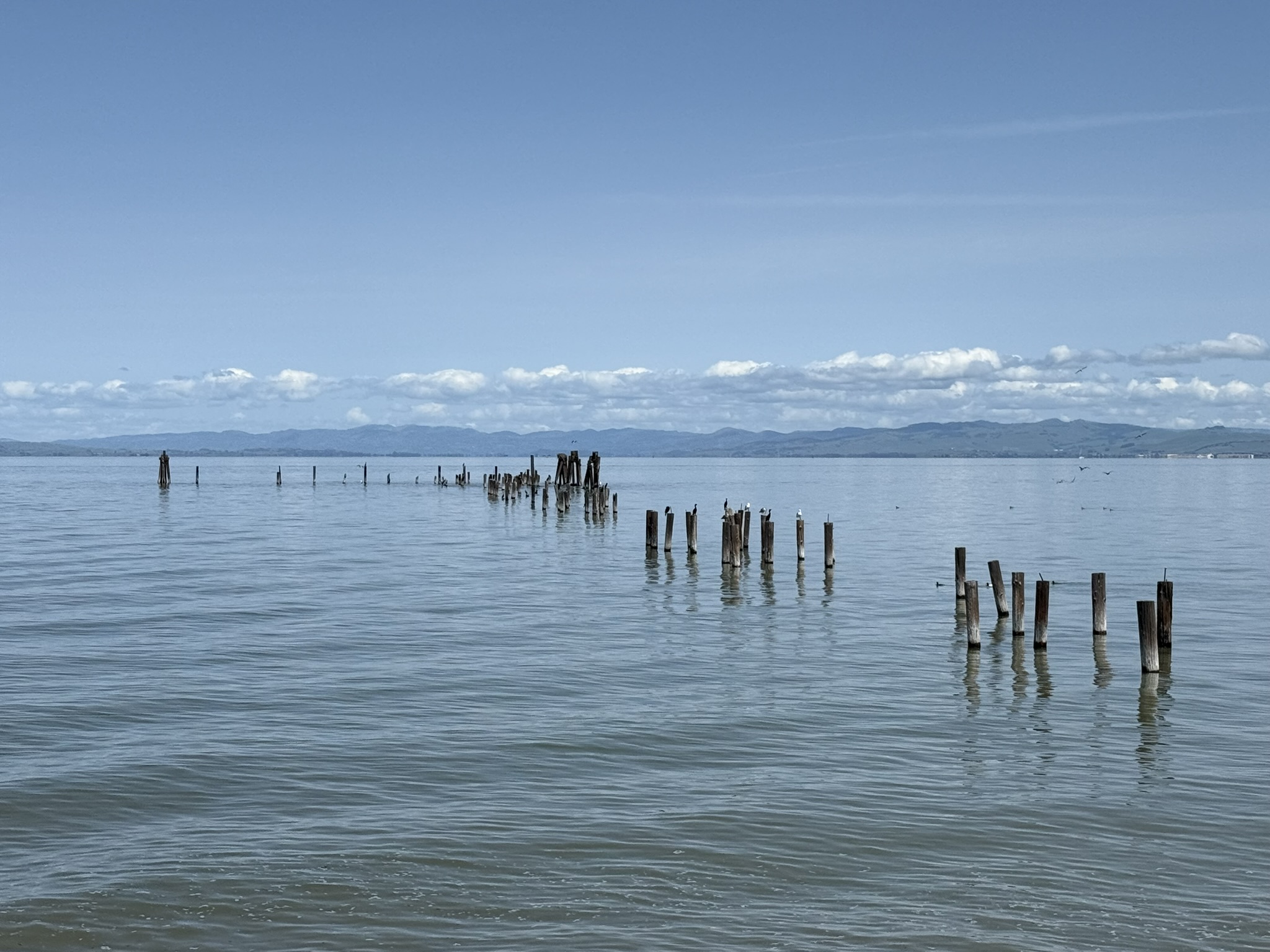 Point Pinole Regional Shoreline
