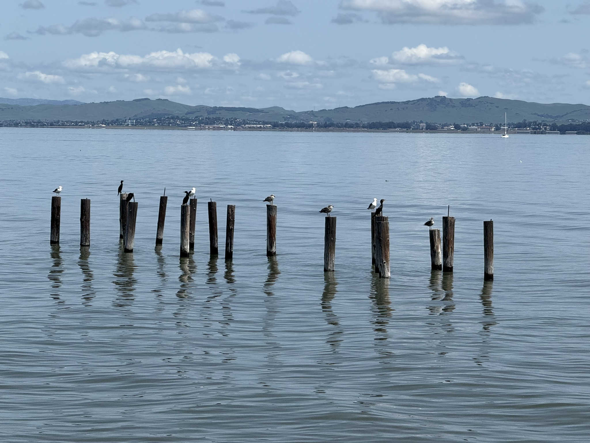 Point Pinole Regional Shoreline