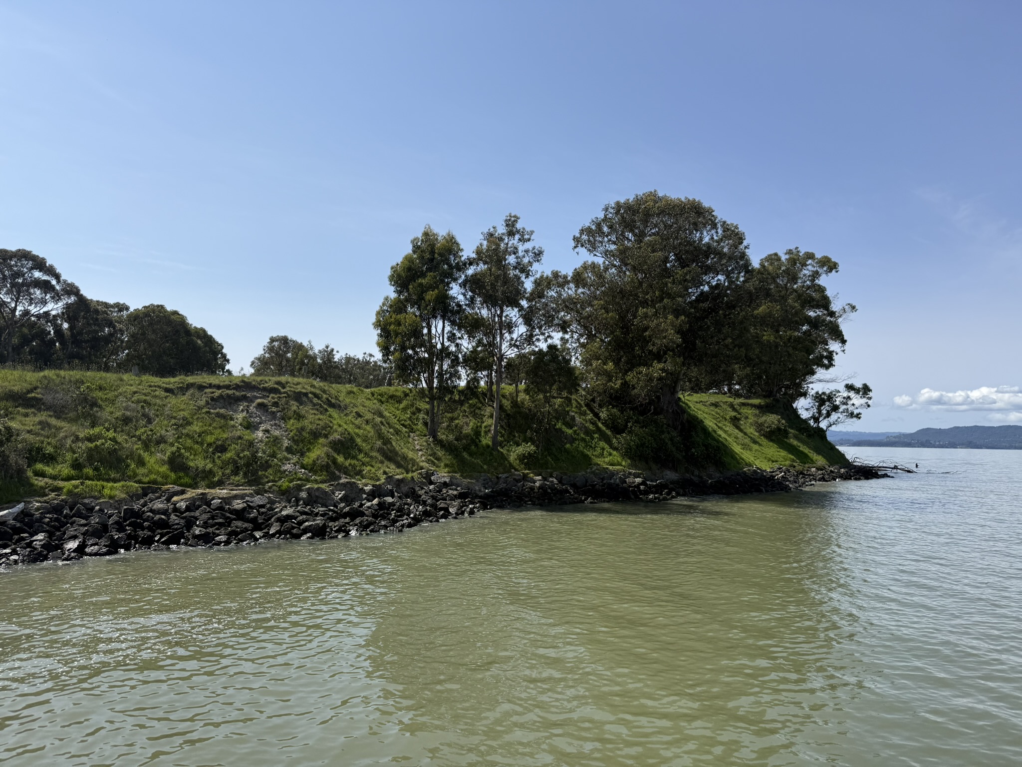 Point Pinole Regional Shoreline