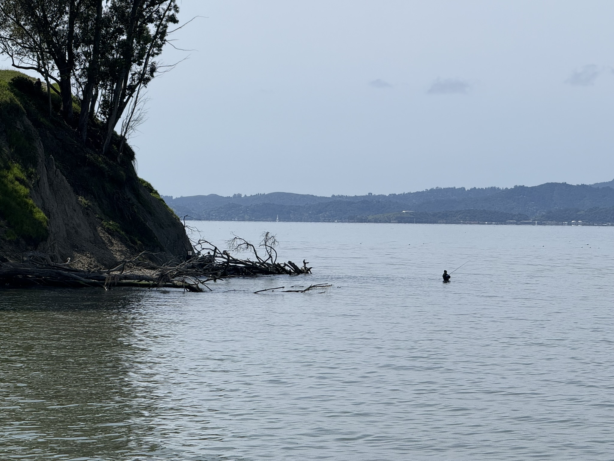 Point Pinole Regional Shoreline