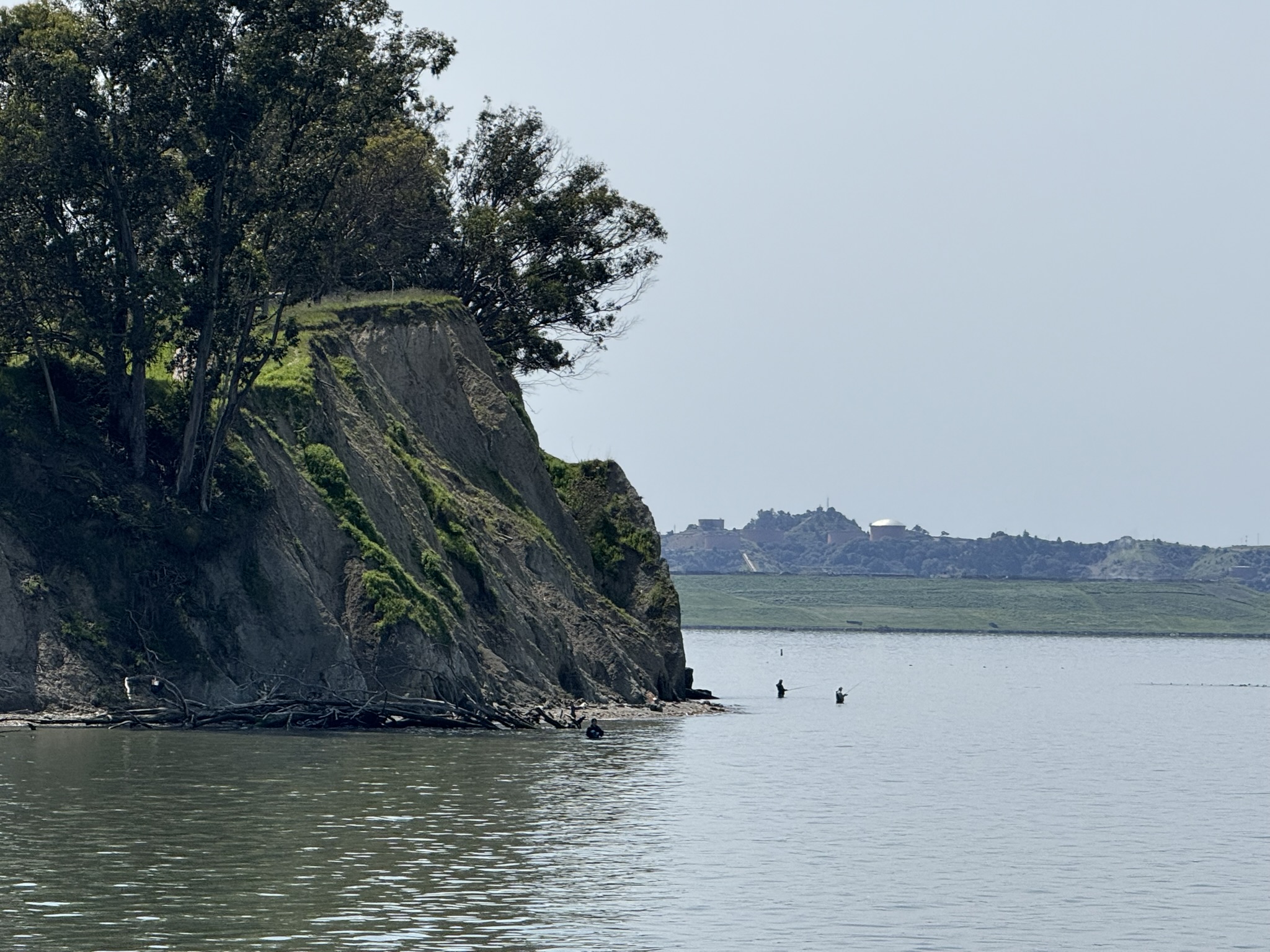 Point Pinole Regional Shoreline