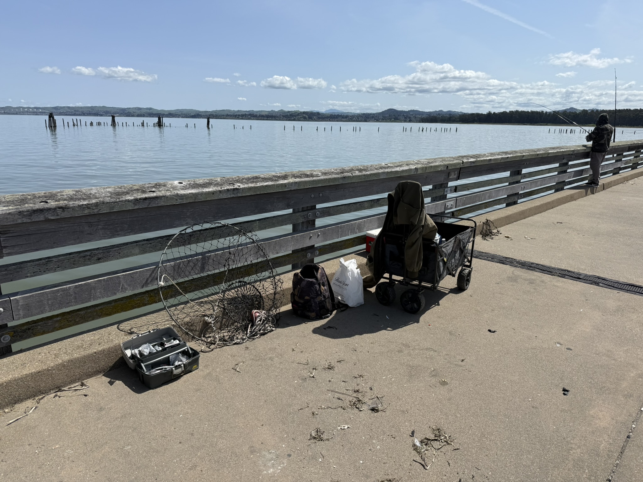 Point Pinole Regional Shoreline