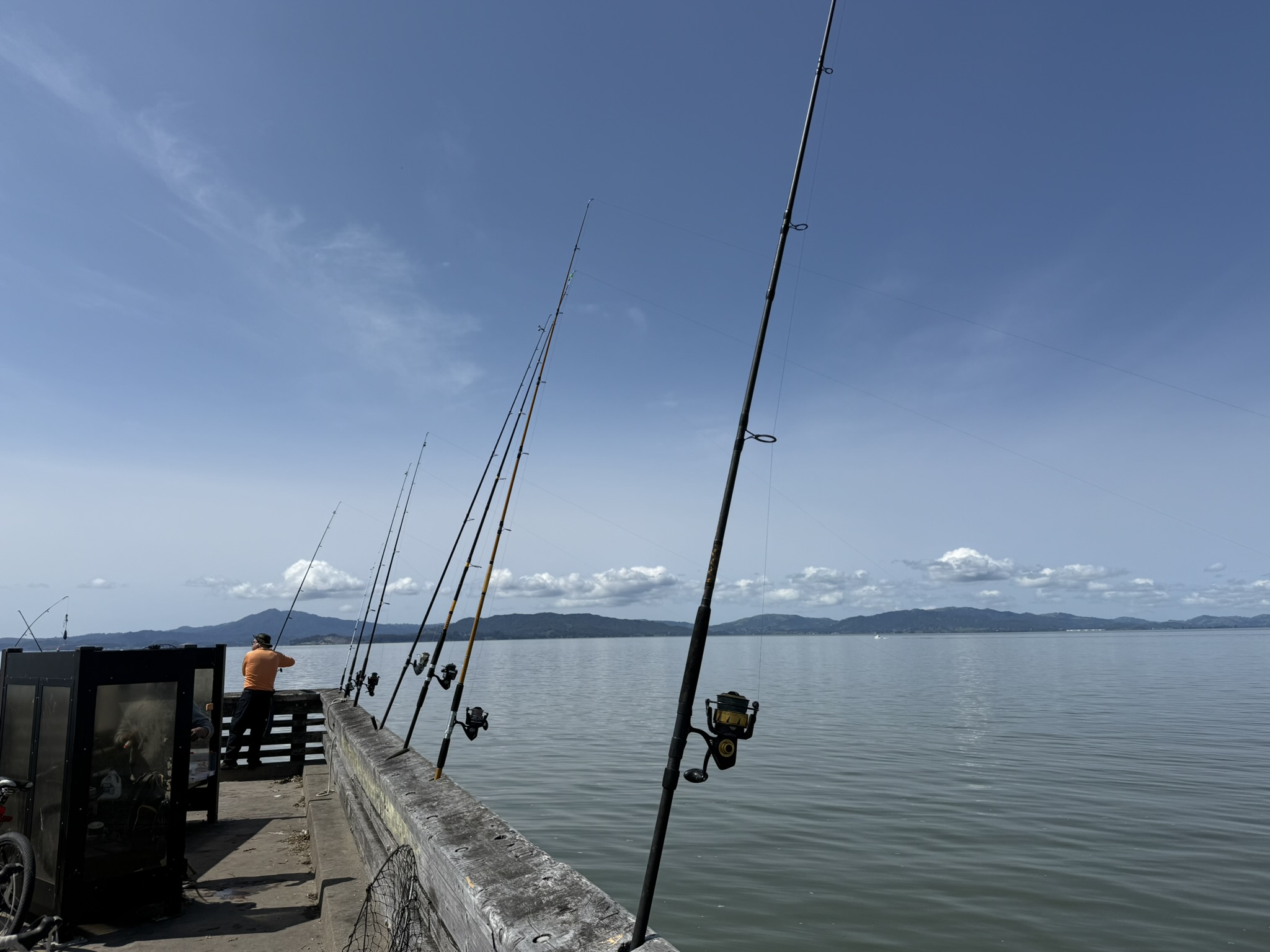 Point Pinole Regional Shoreline