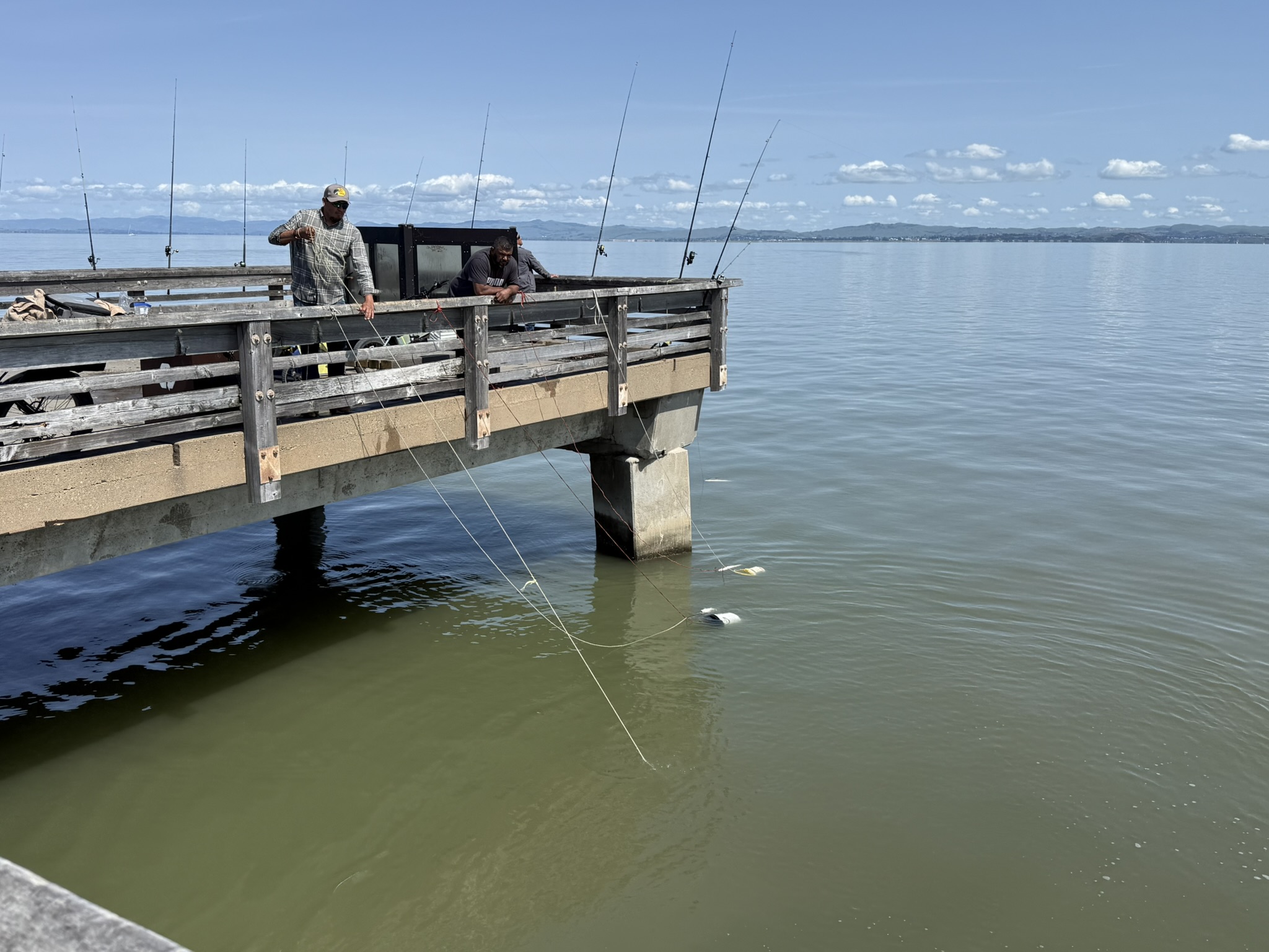Point Pinole Regional Shoreline