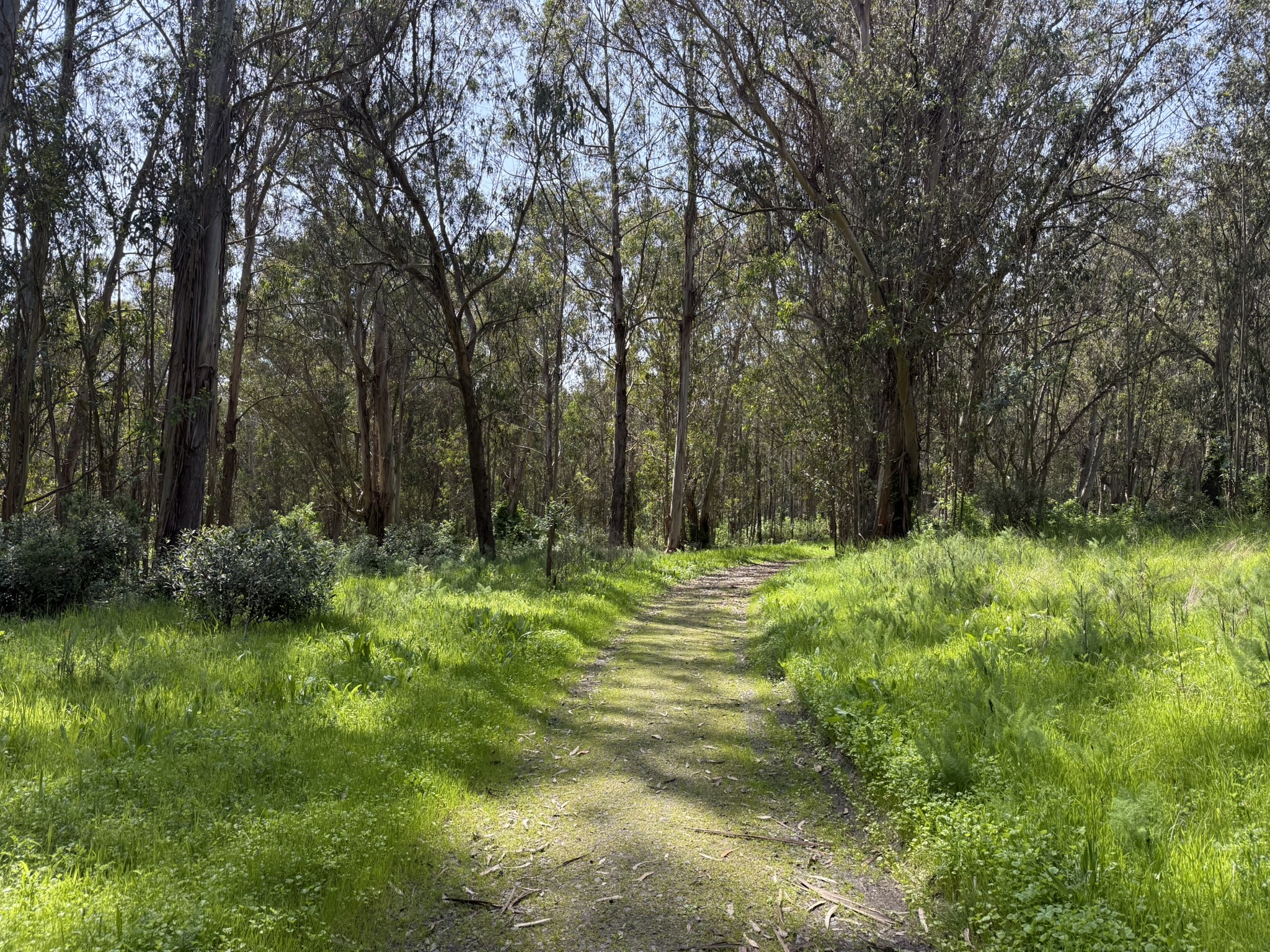 Point Pinole Regional Shoreline