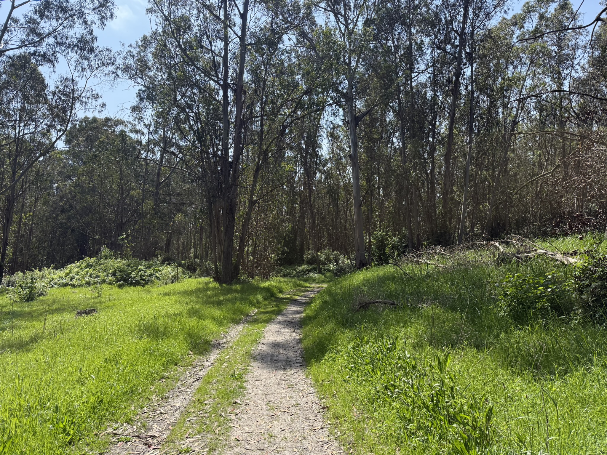 Point Pinole Regional Shoreline