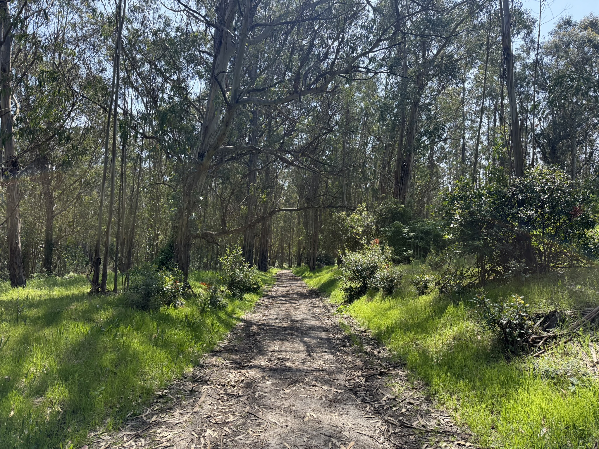 Point Pinole Regional Shoreline