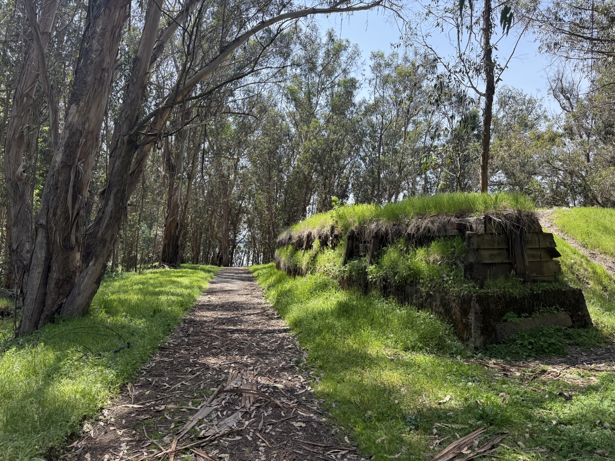 Point Pinole Regional Shoreline