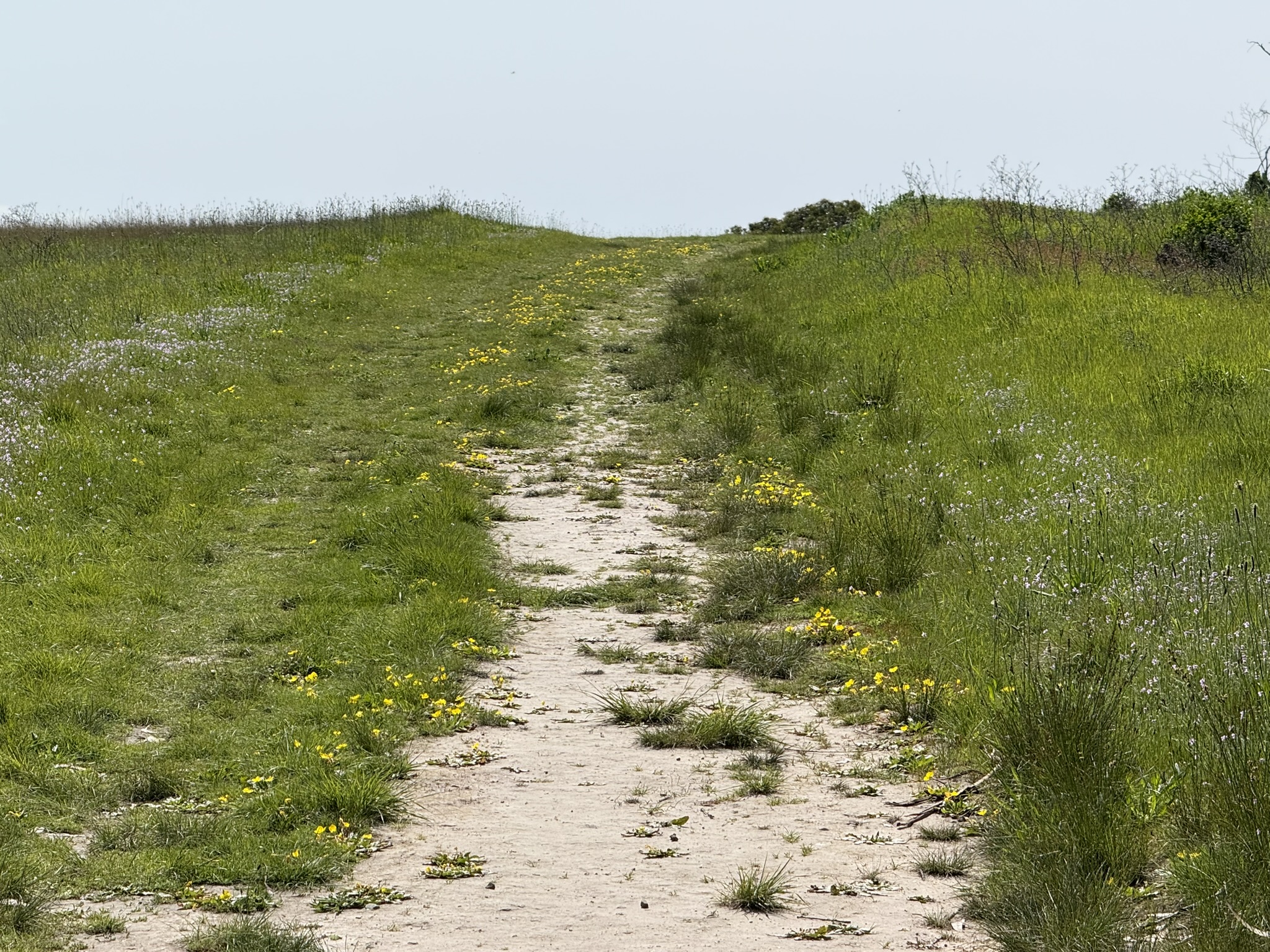Point Pinole Regional Shoreline