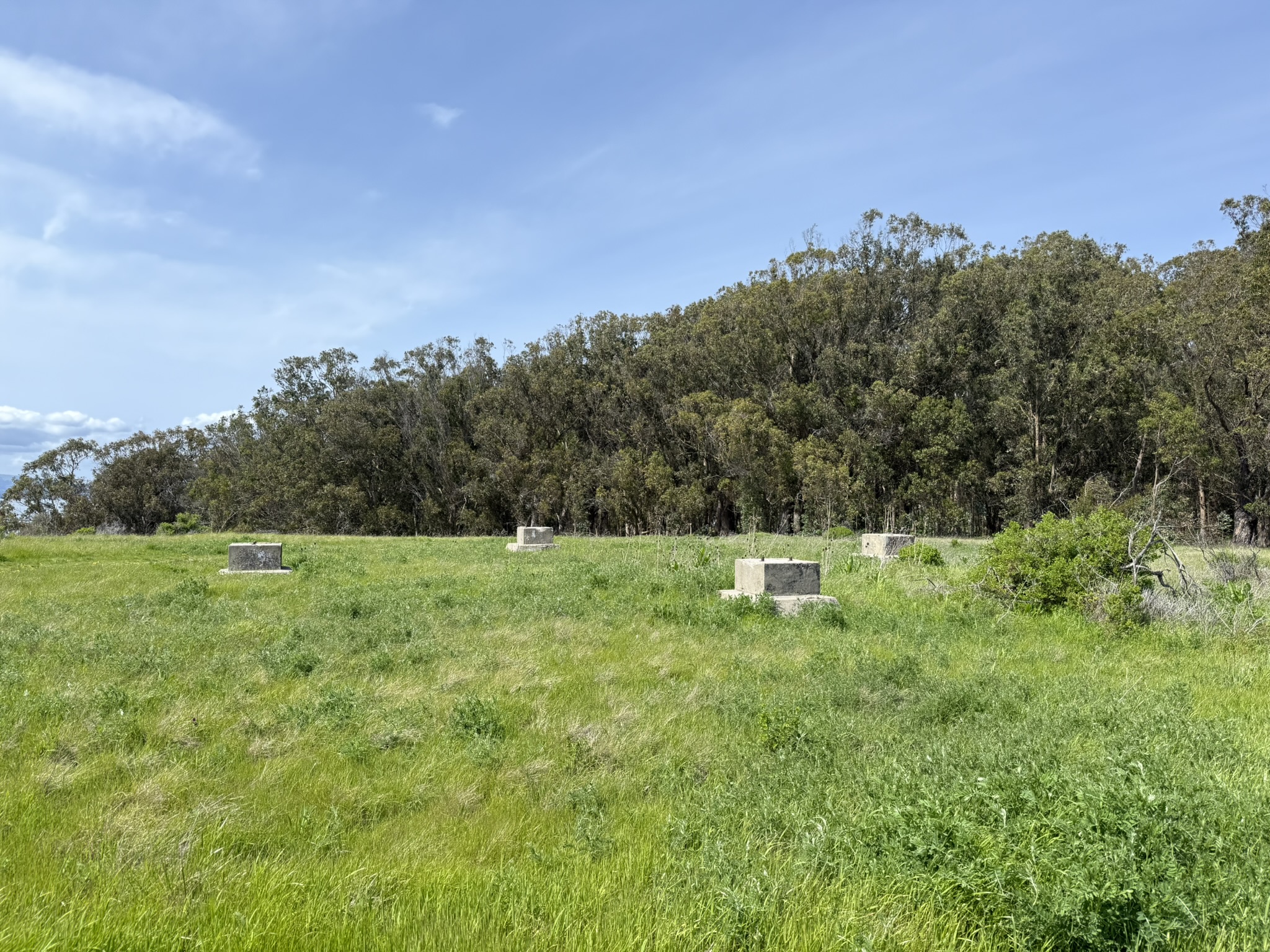Point Pinole Regional Shoreline