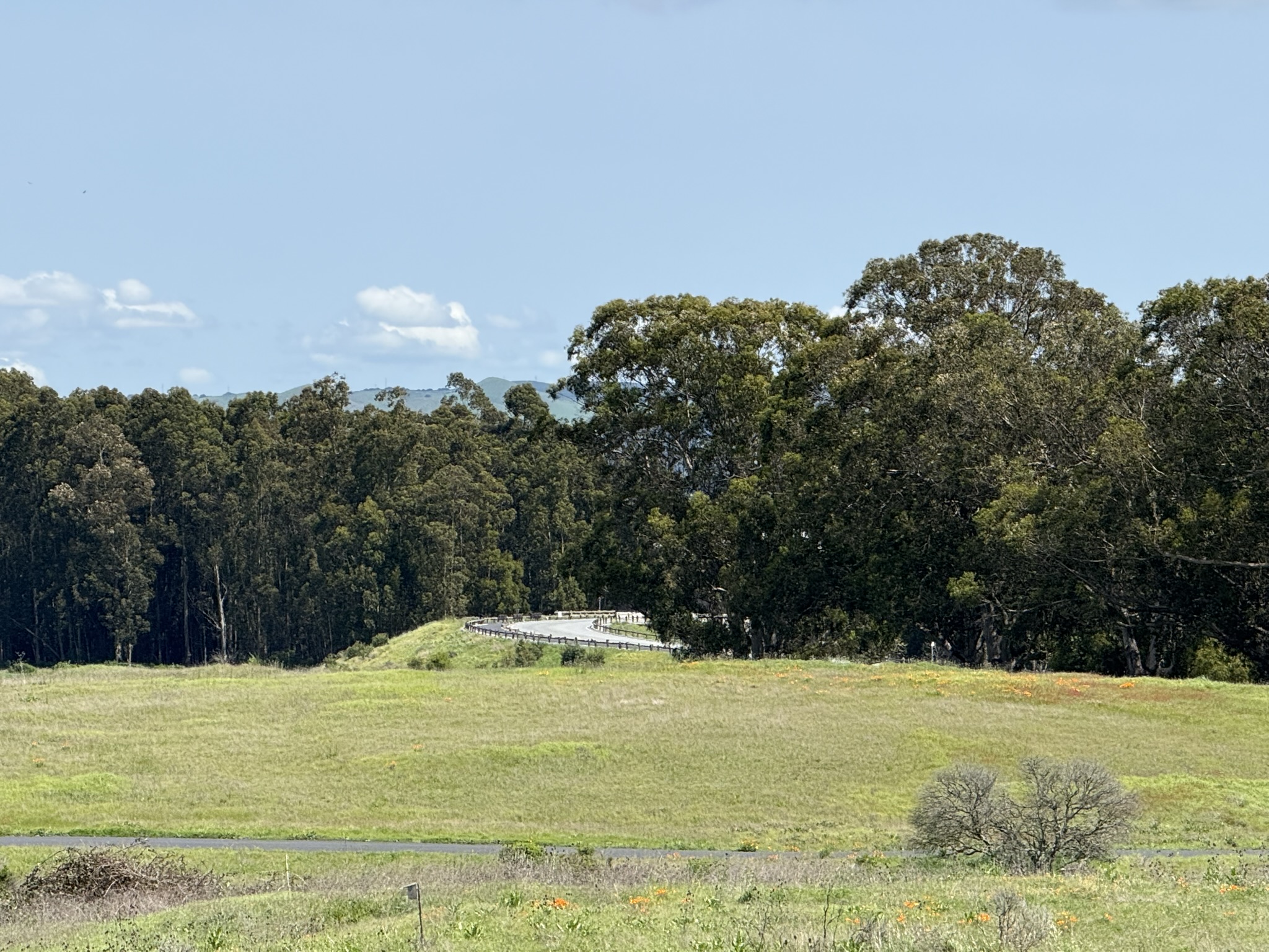Point Pinole Regional Shoreline
