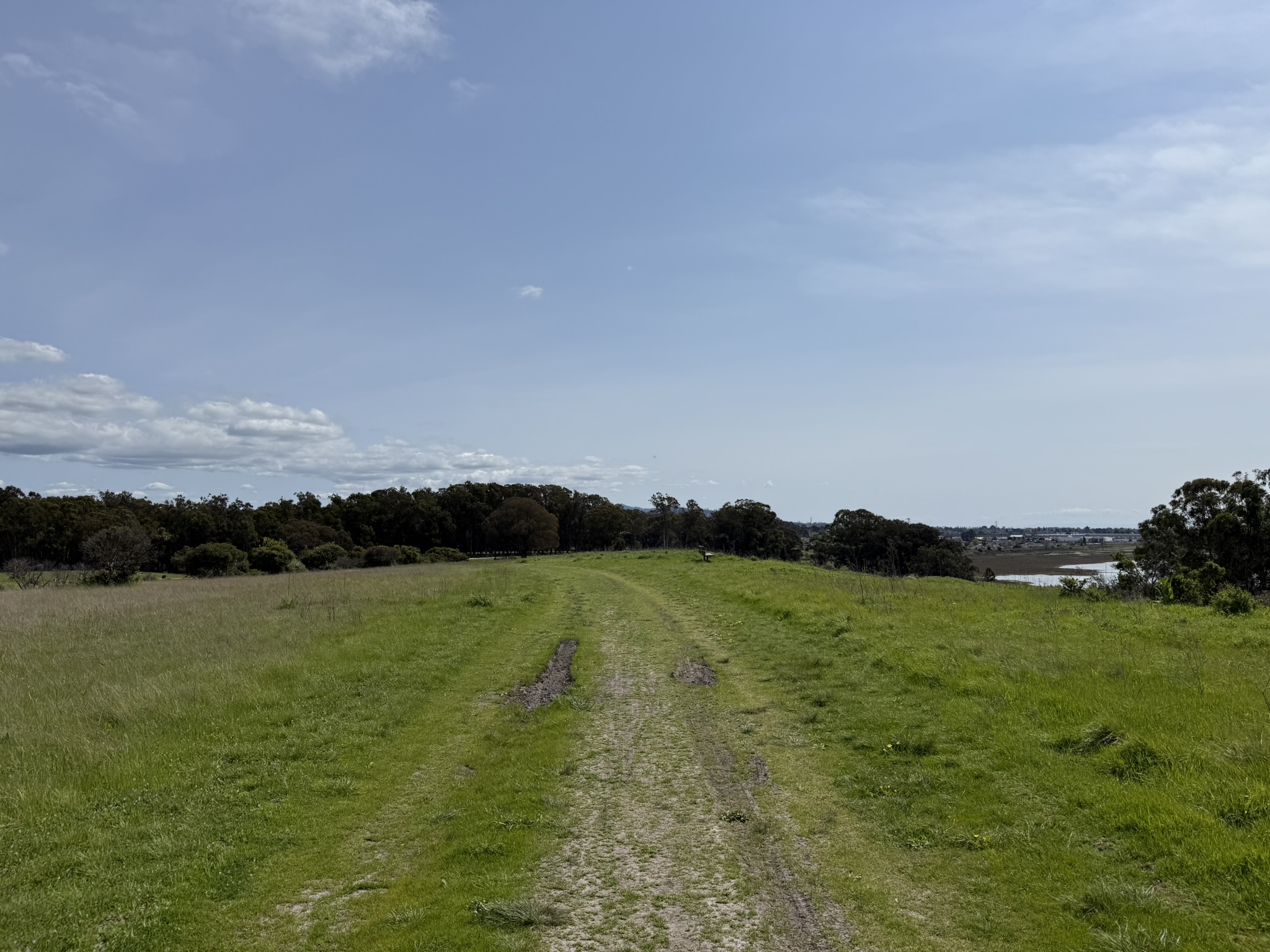 Point Pinole Regional Shoreline