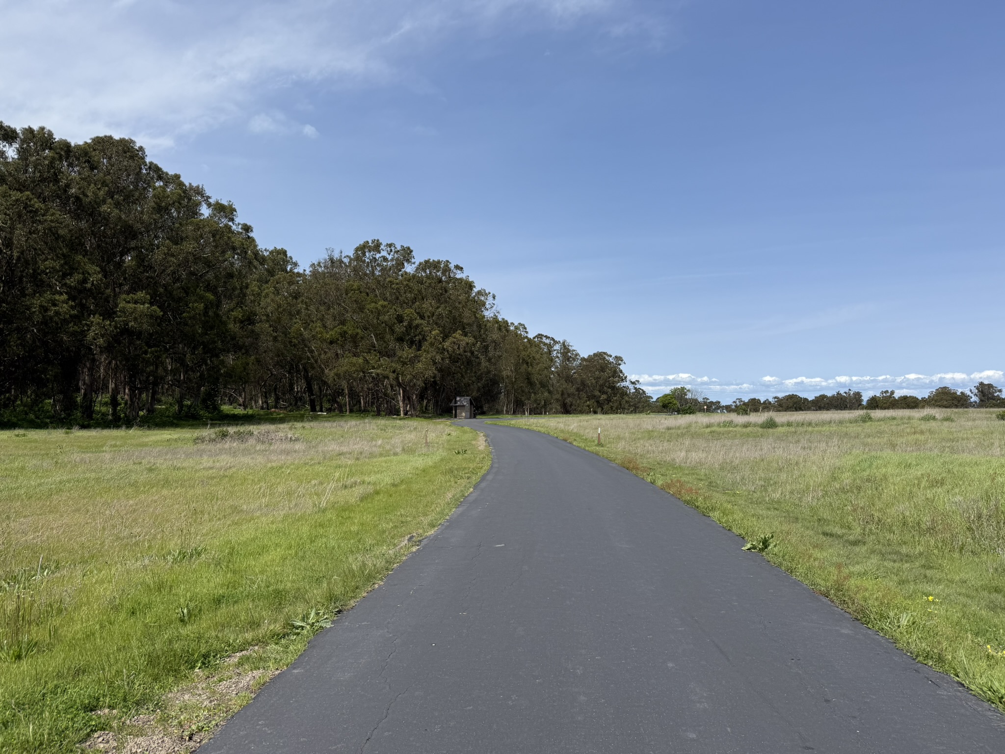 Point Pinole Regional Shoreline