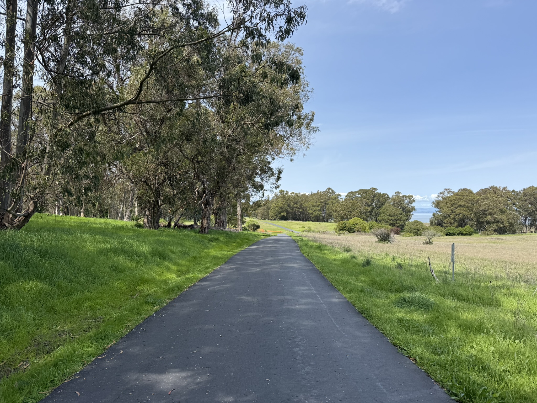 Point Pinole Regional Shoreline