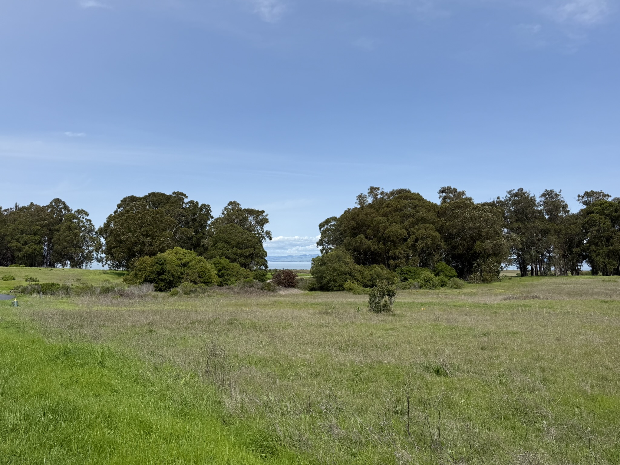 Point Pinole Regional Shoreline