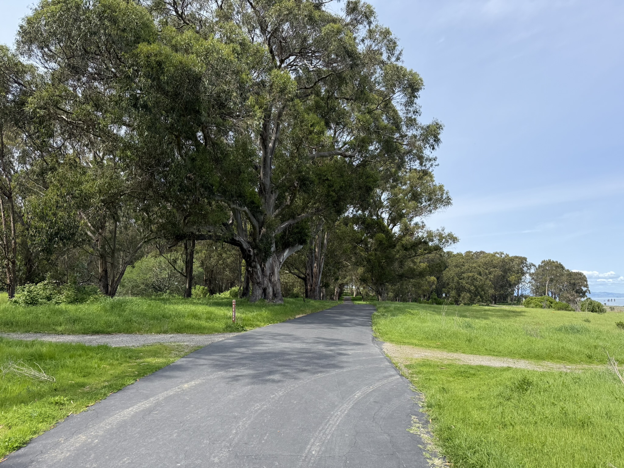 Point Pinole Regional Shoreline