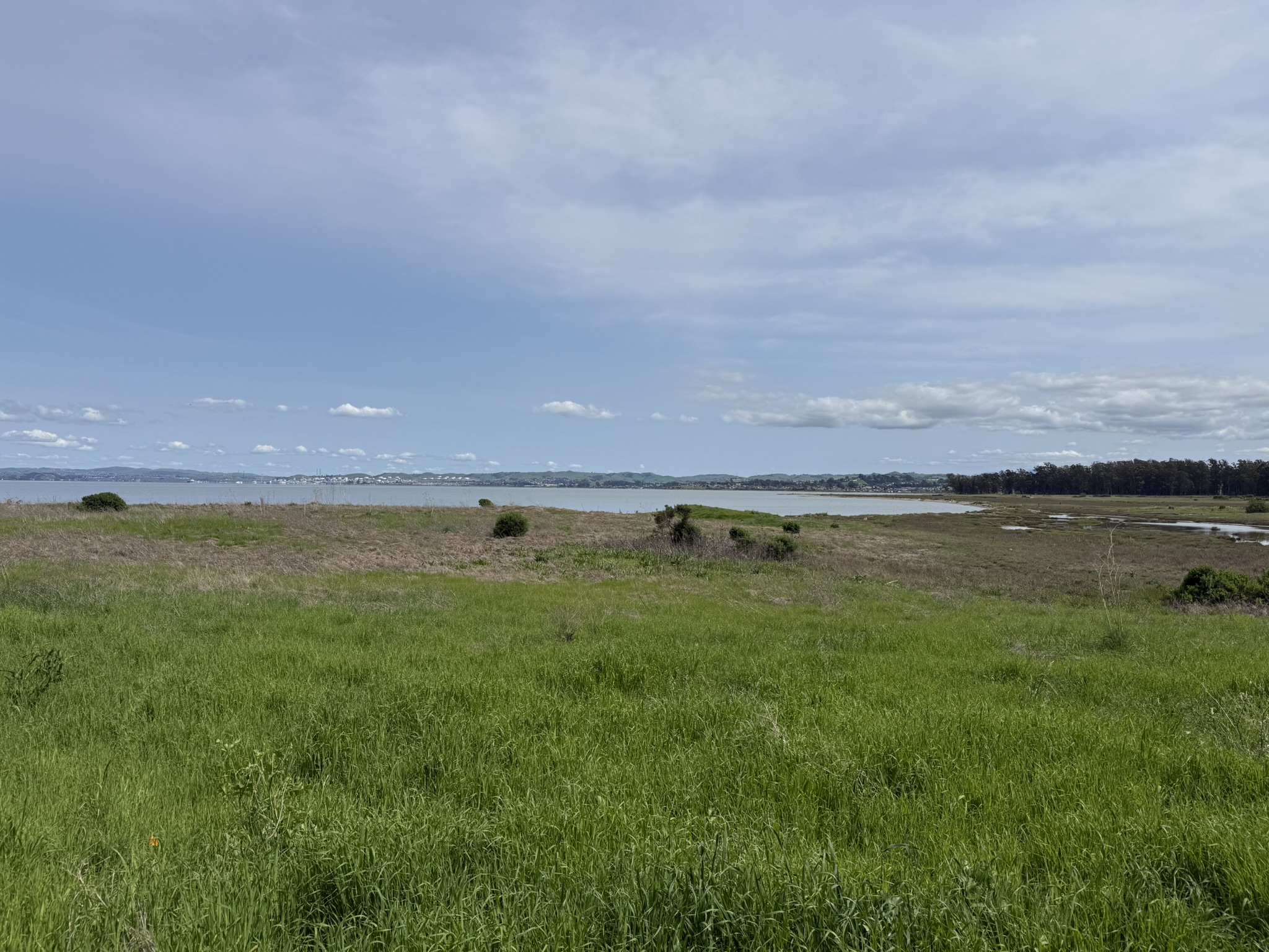Point Pinole Regional Shoreline