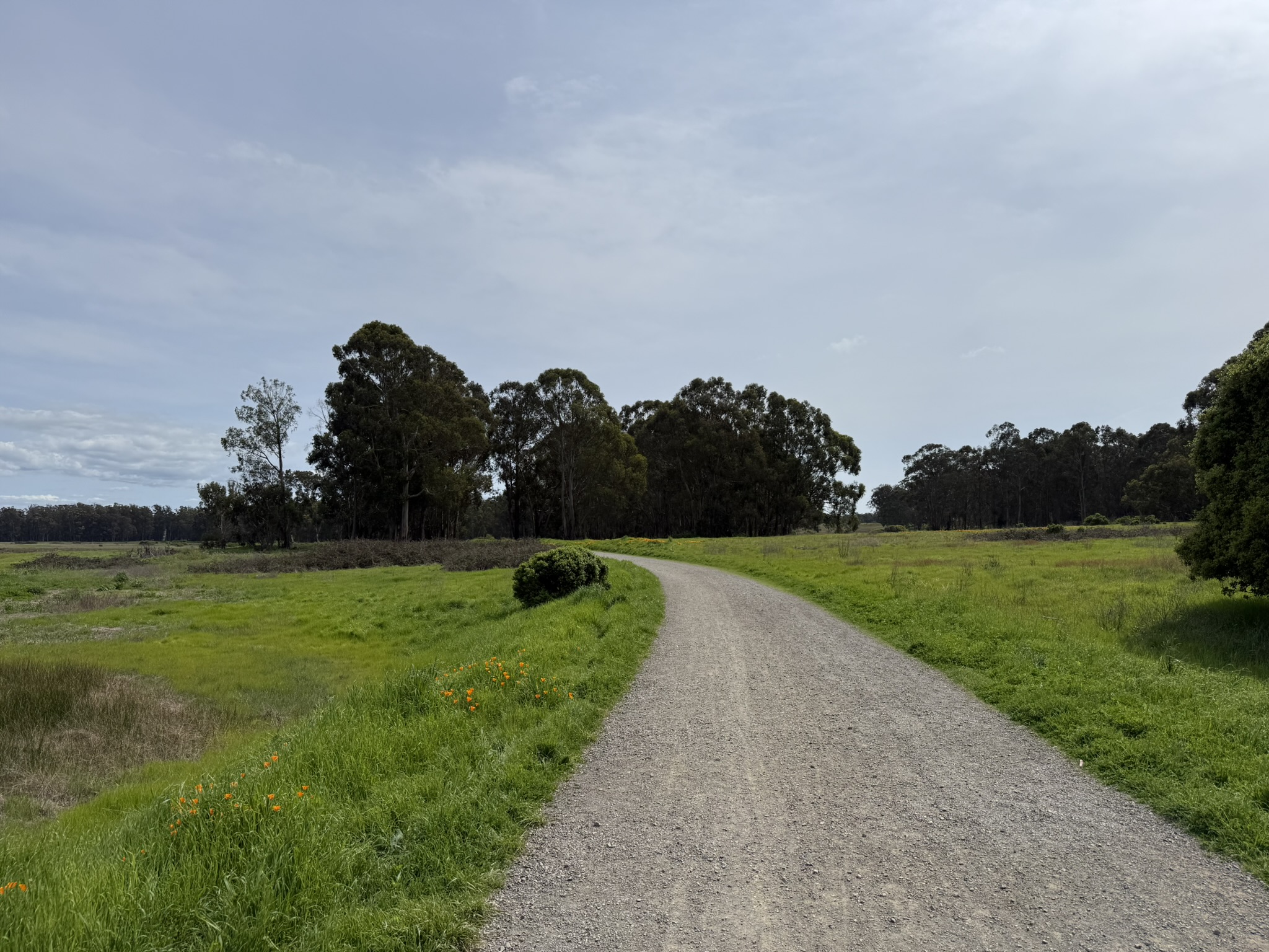 Point Pinole Regional Shoreline