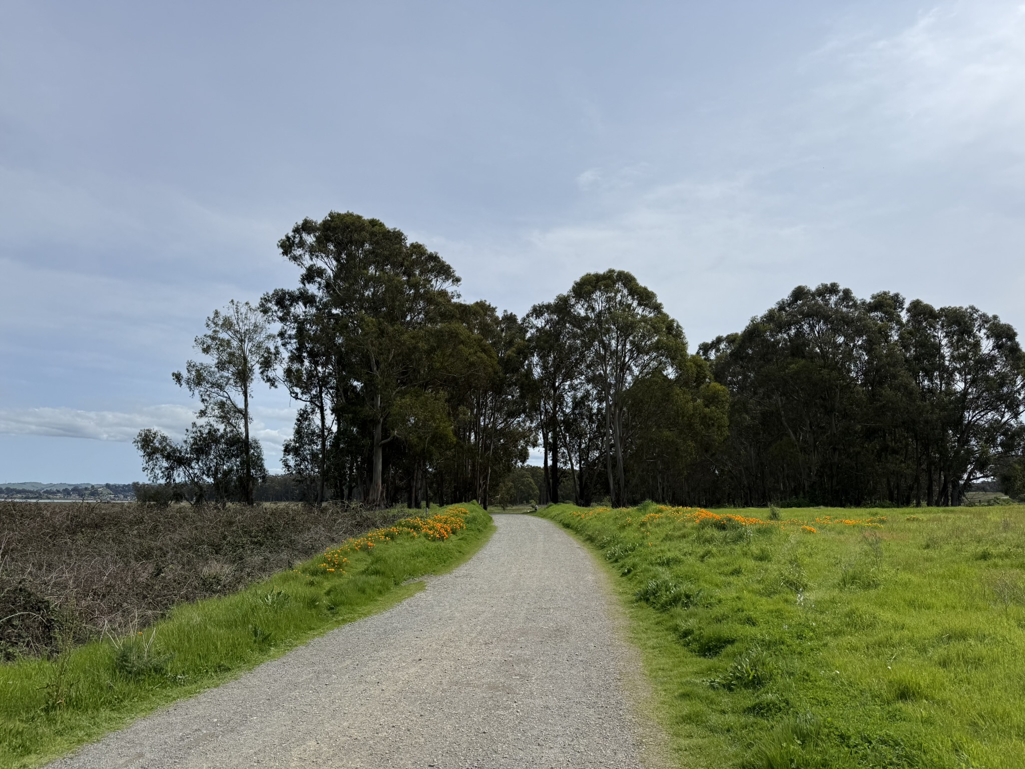 Point Pinole Regional Shoreline