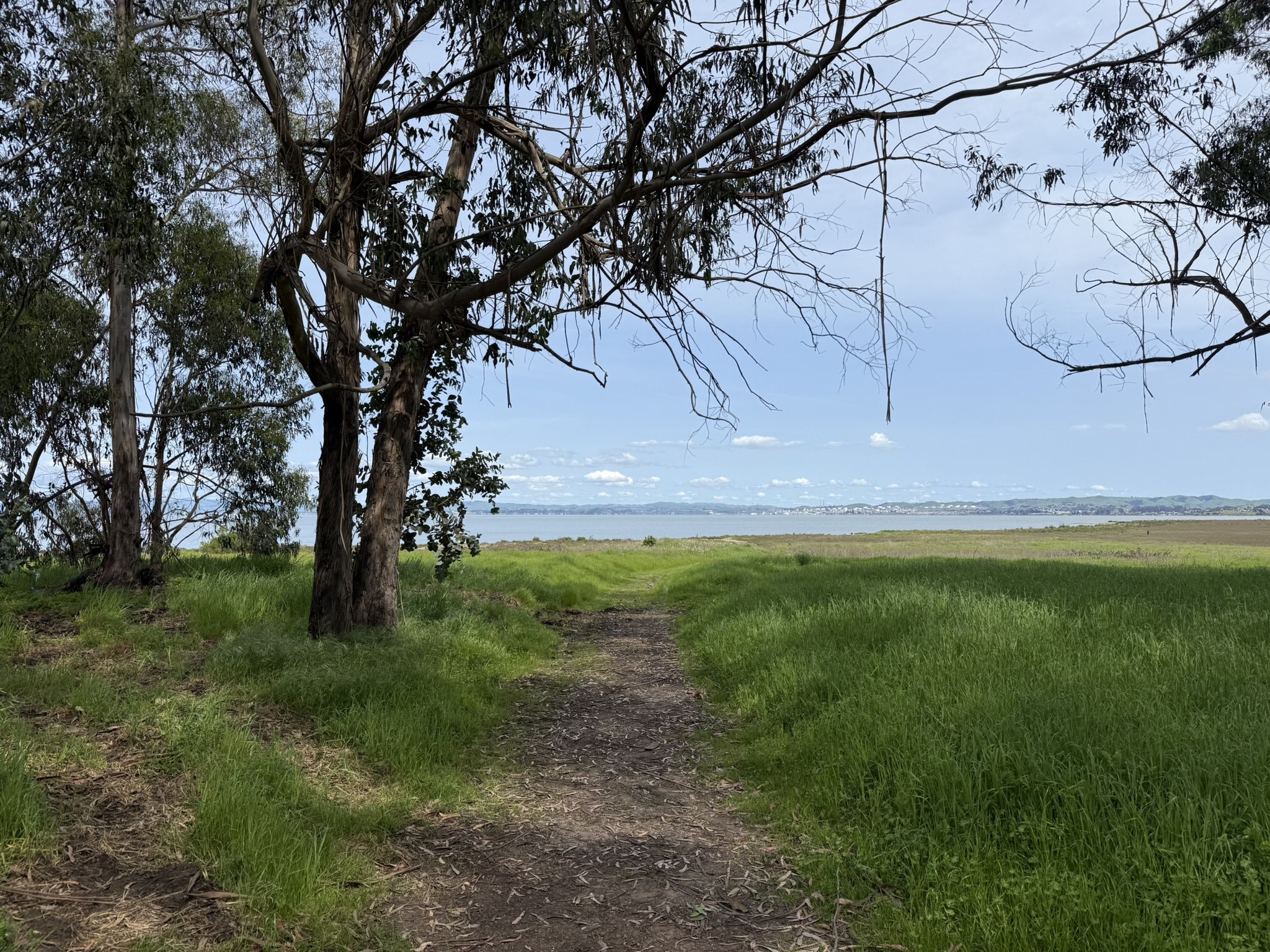 Point Pinole Regional Shoreline