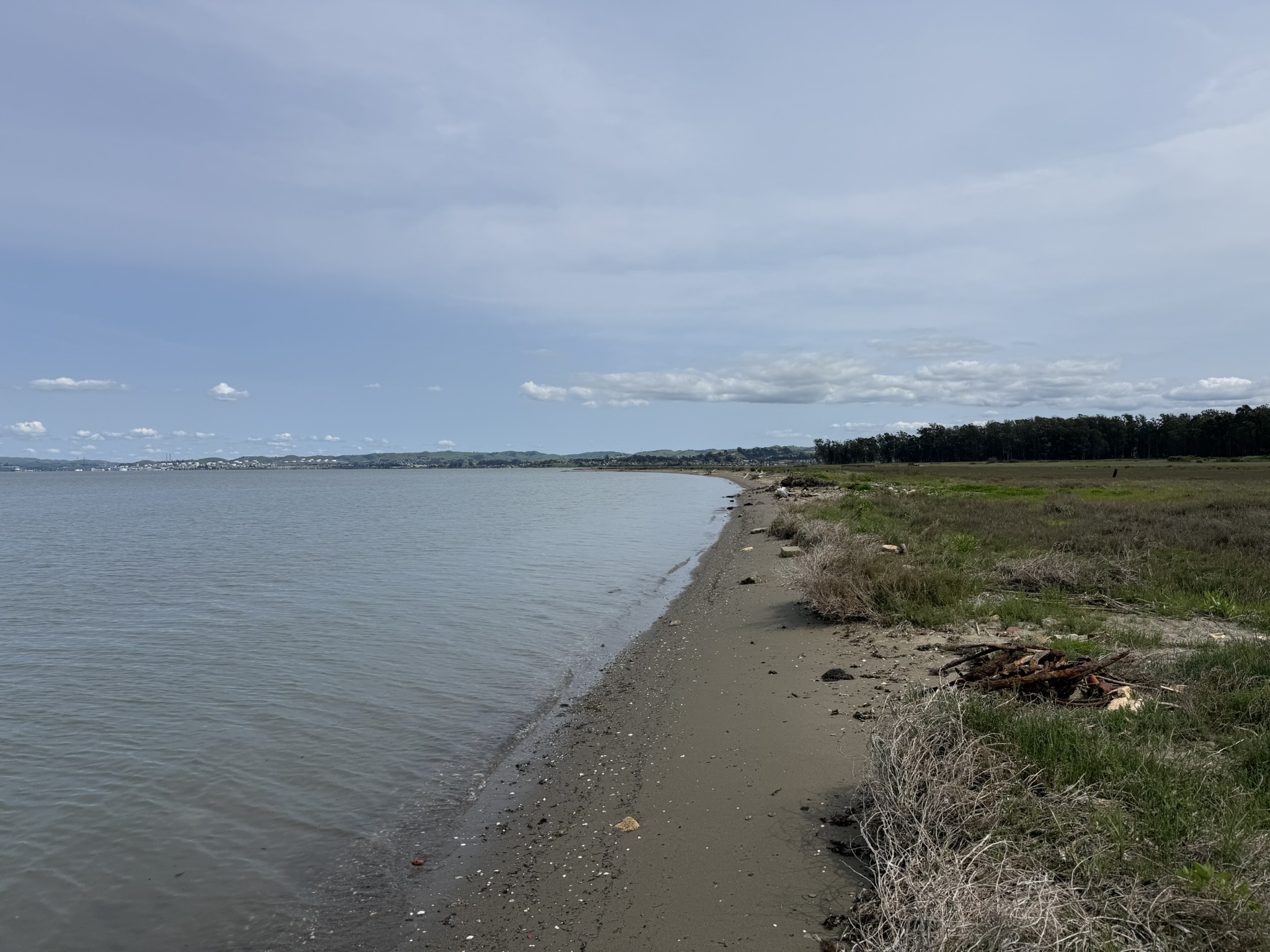 Point Pinole Regional Shoreline