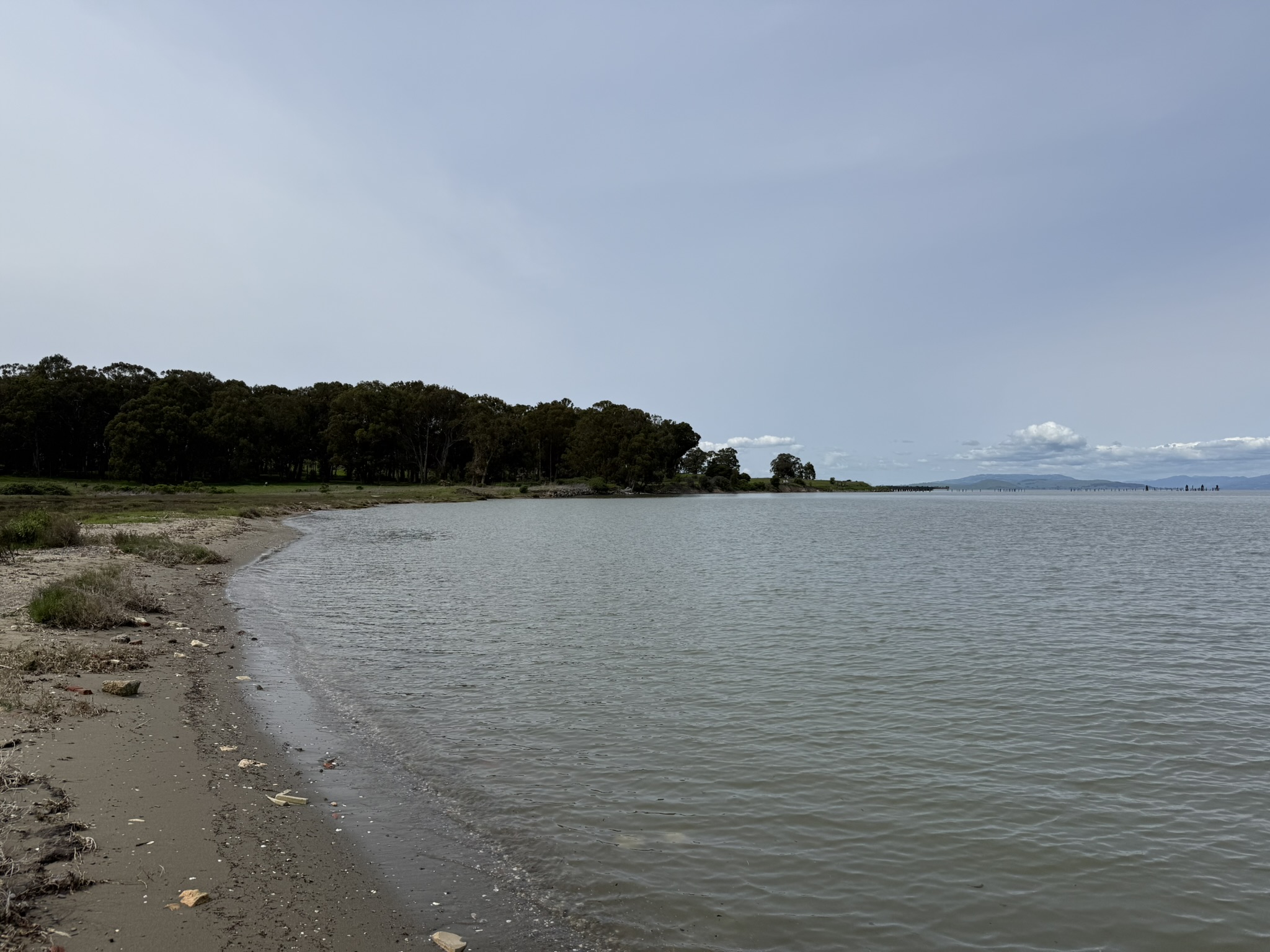 Point Pinole Regional Shoreline