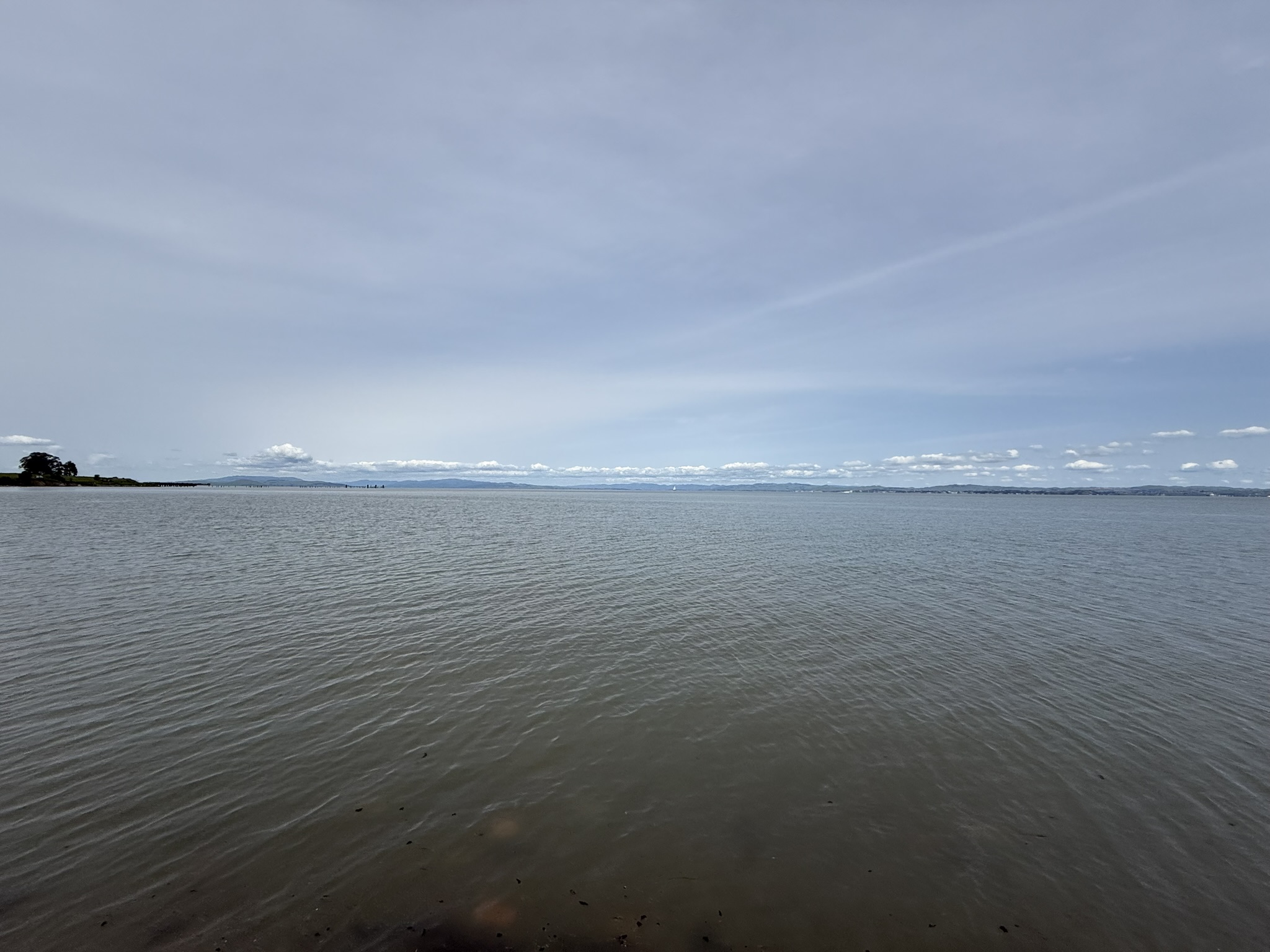 Point Pinole Regional Shoreline