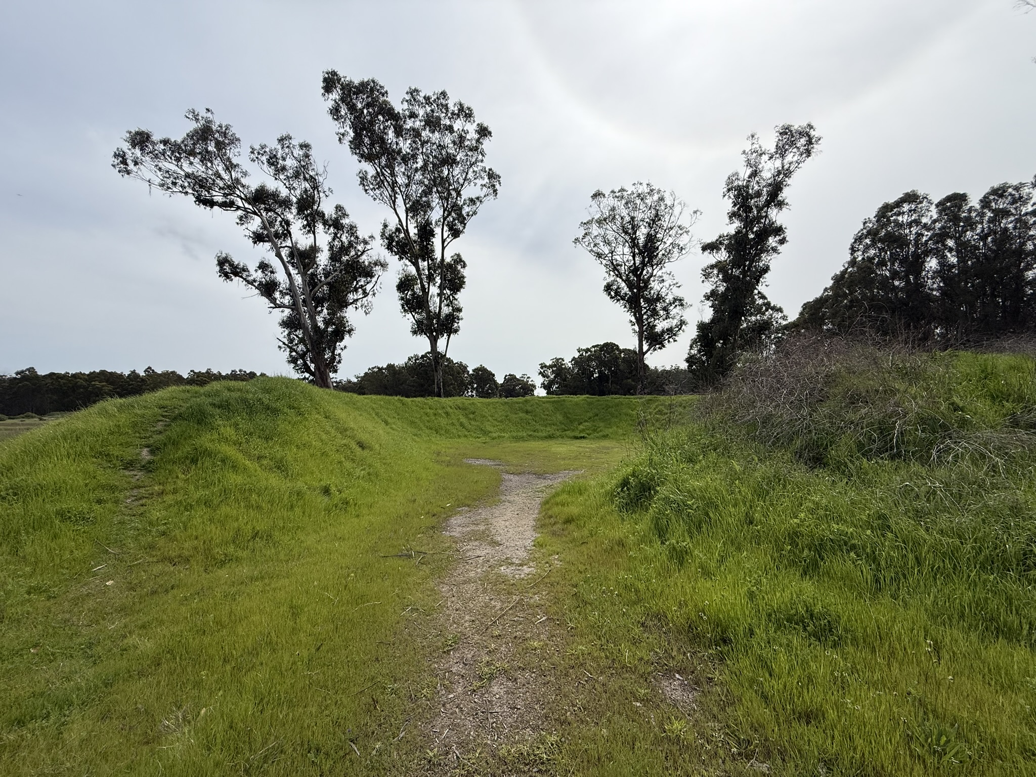 Point Pinole Regional Shoreline