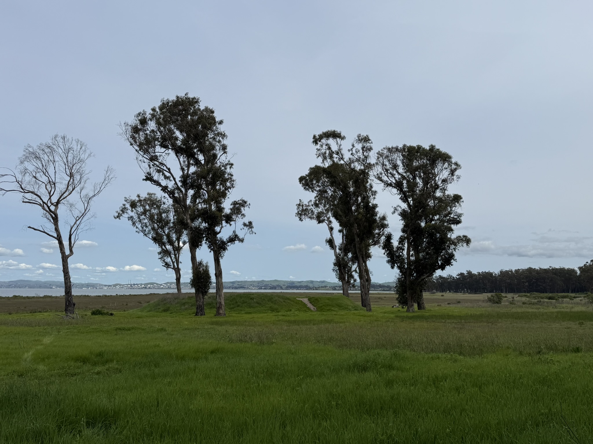 Point Pinole Regional Shoreline