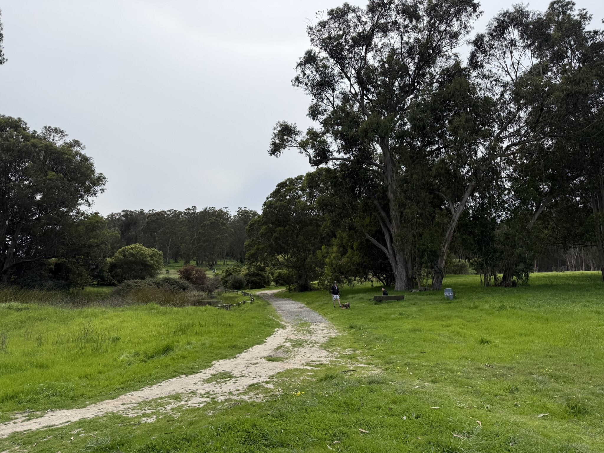 Point Pinole Regional Shoreline