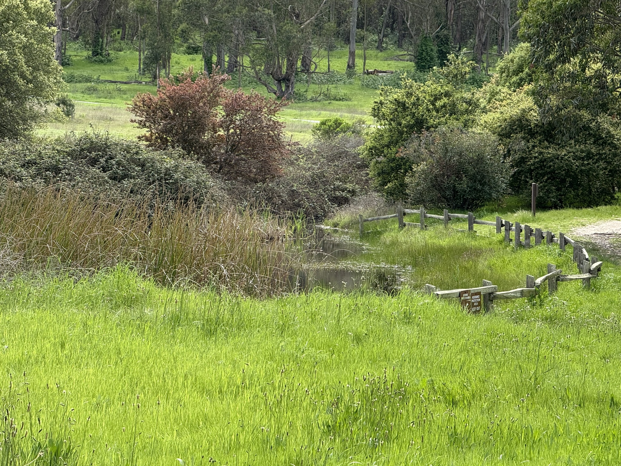 Point Pinole Regional Shoreline