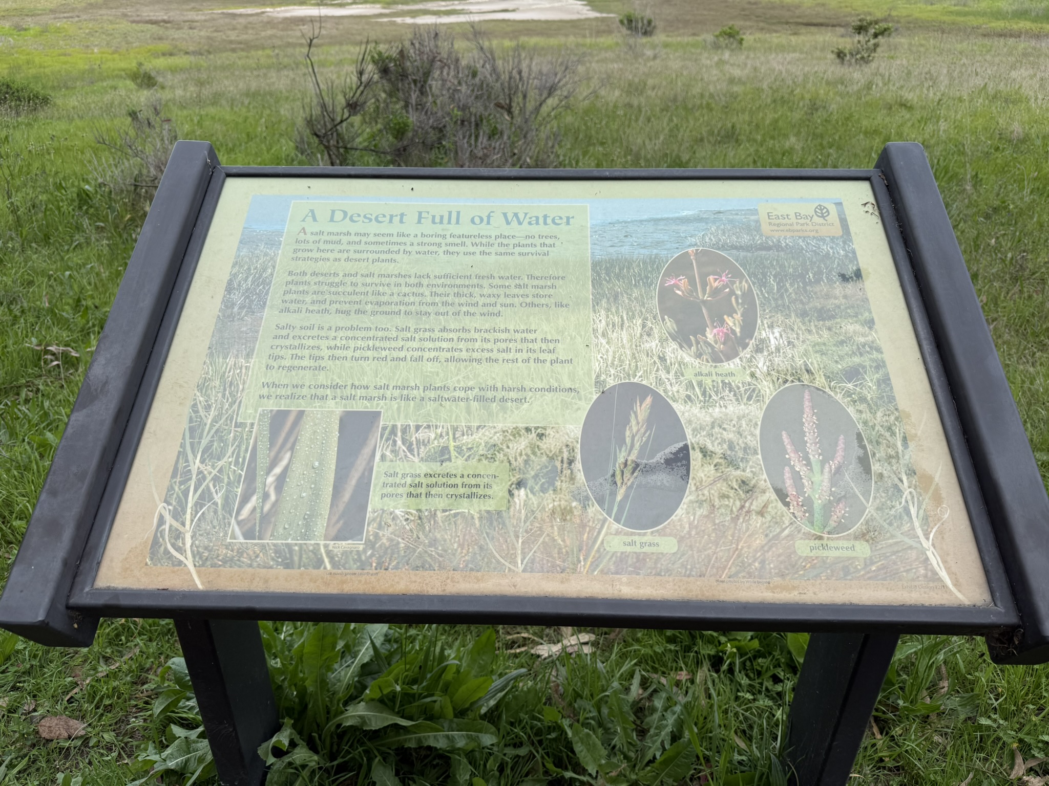 Point Pinole Regional Shoreline