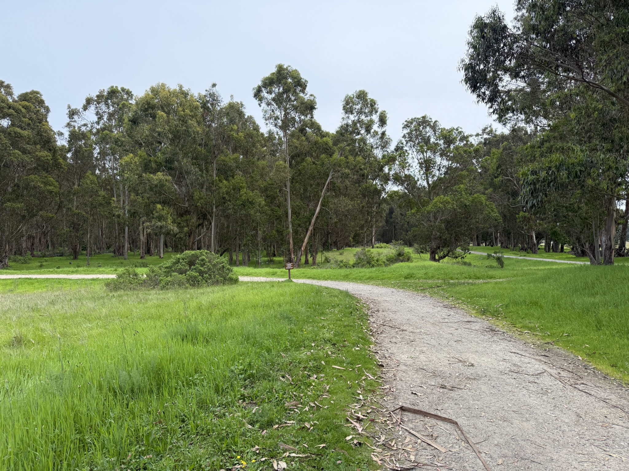 Point Pinole Regional Shoreline
