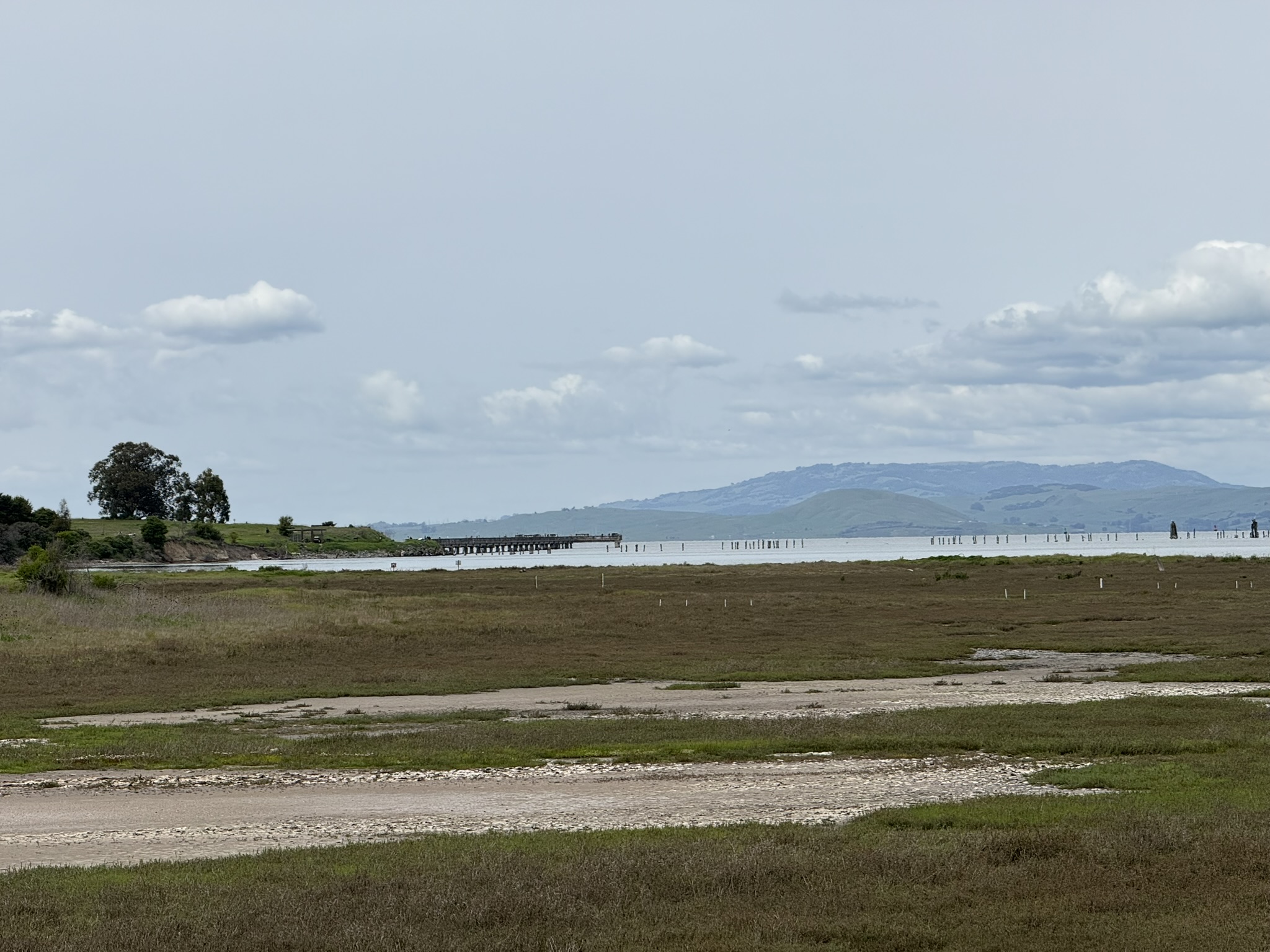 Point Pinole Regional Shoreline
