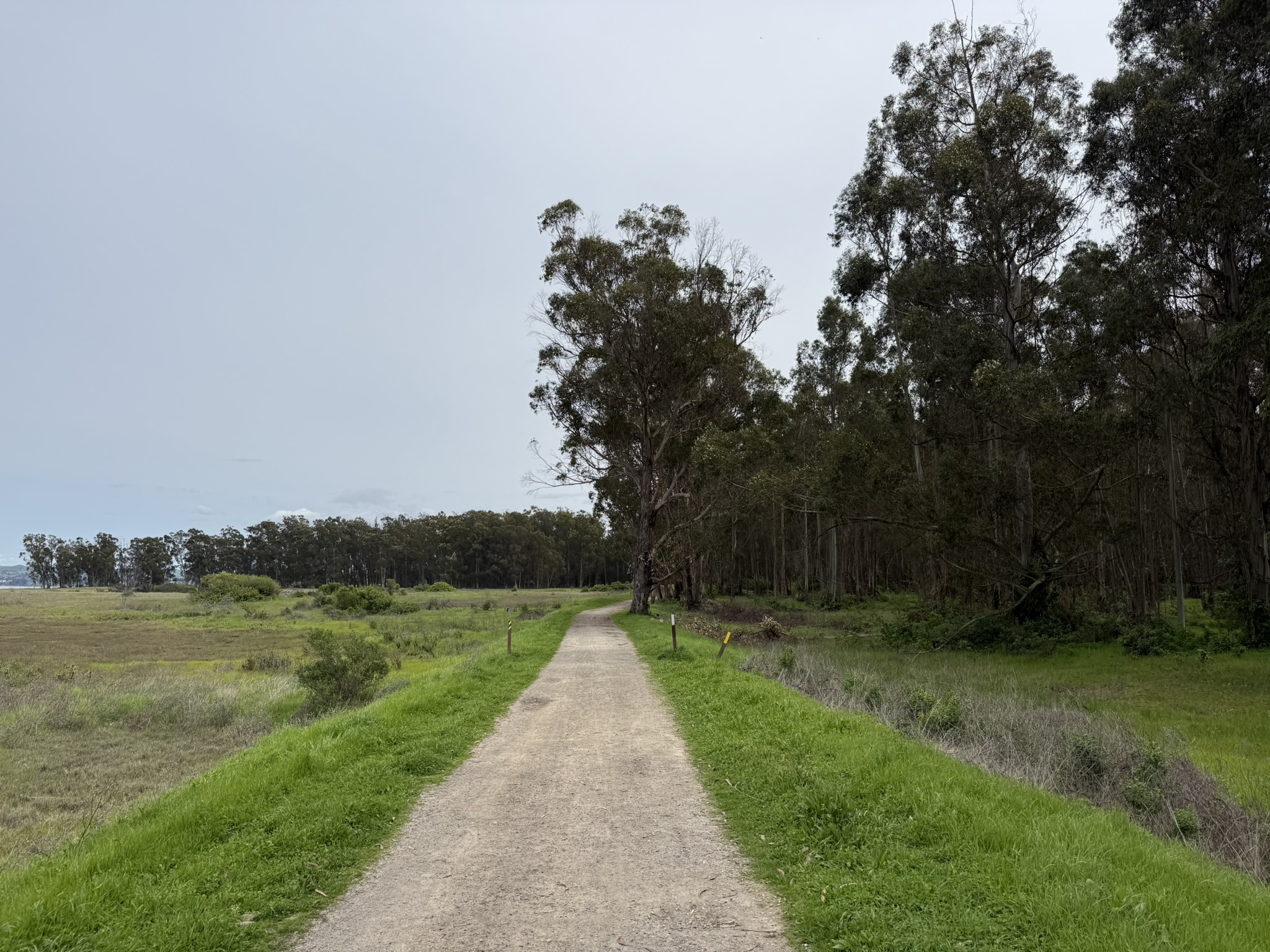 Point Pinole Regional Shoreline
