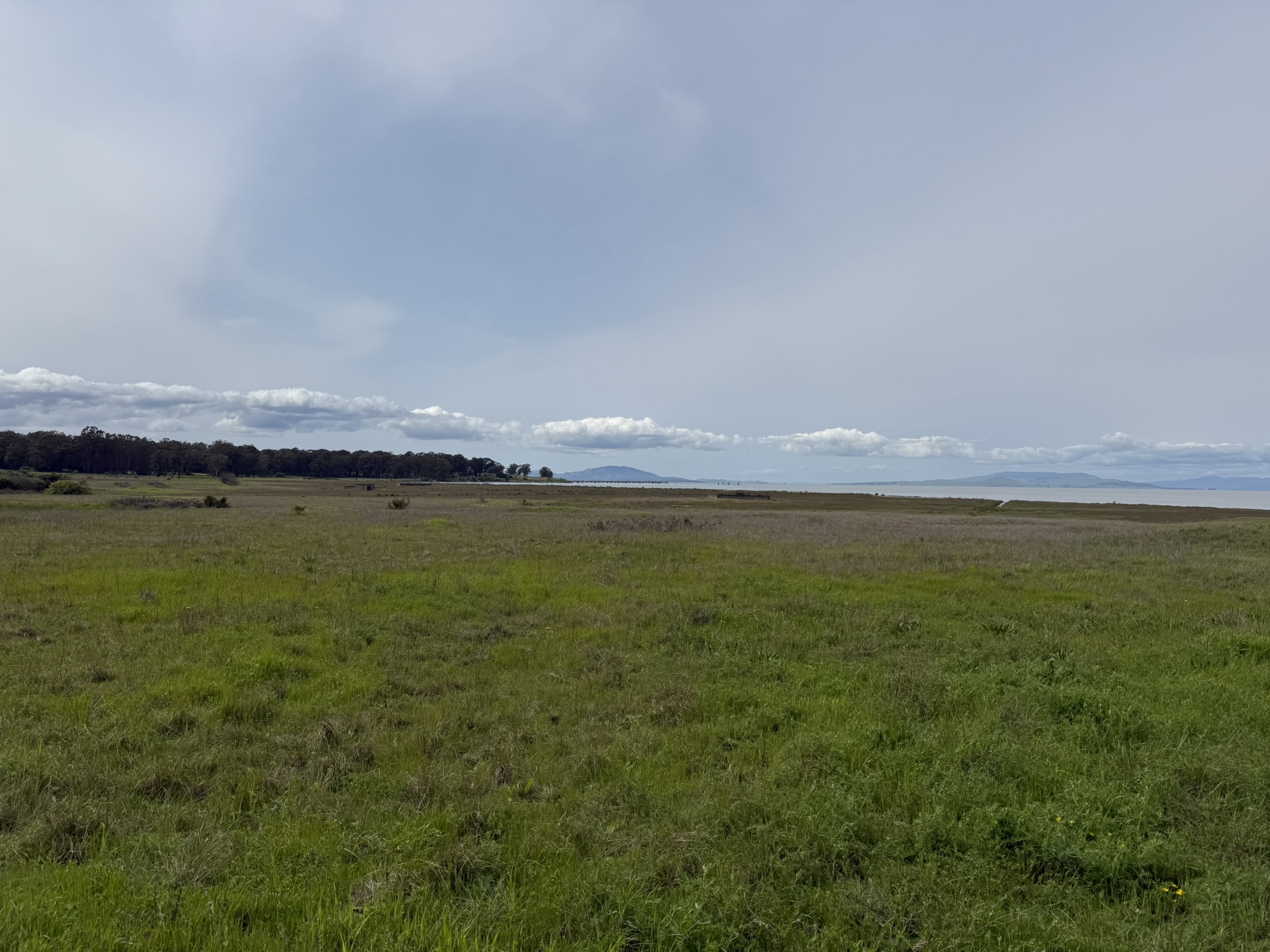 Point Pinole Regional Shoreline