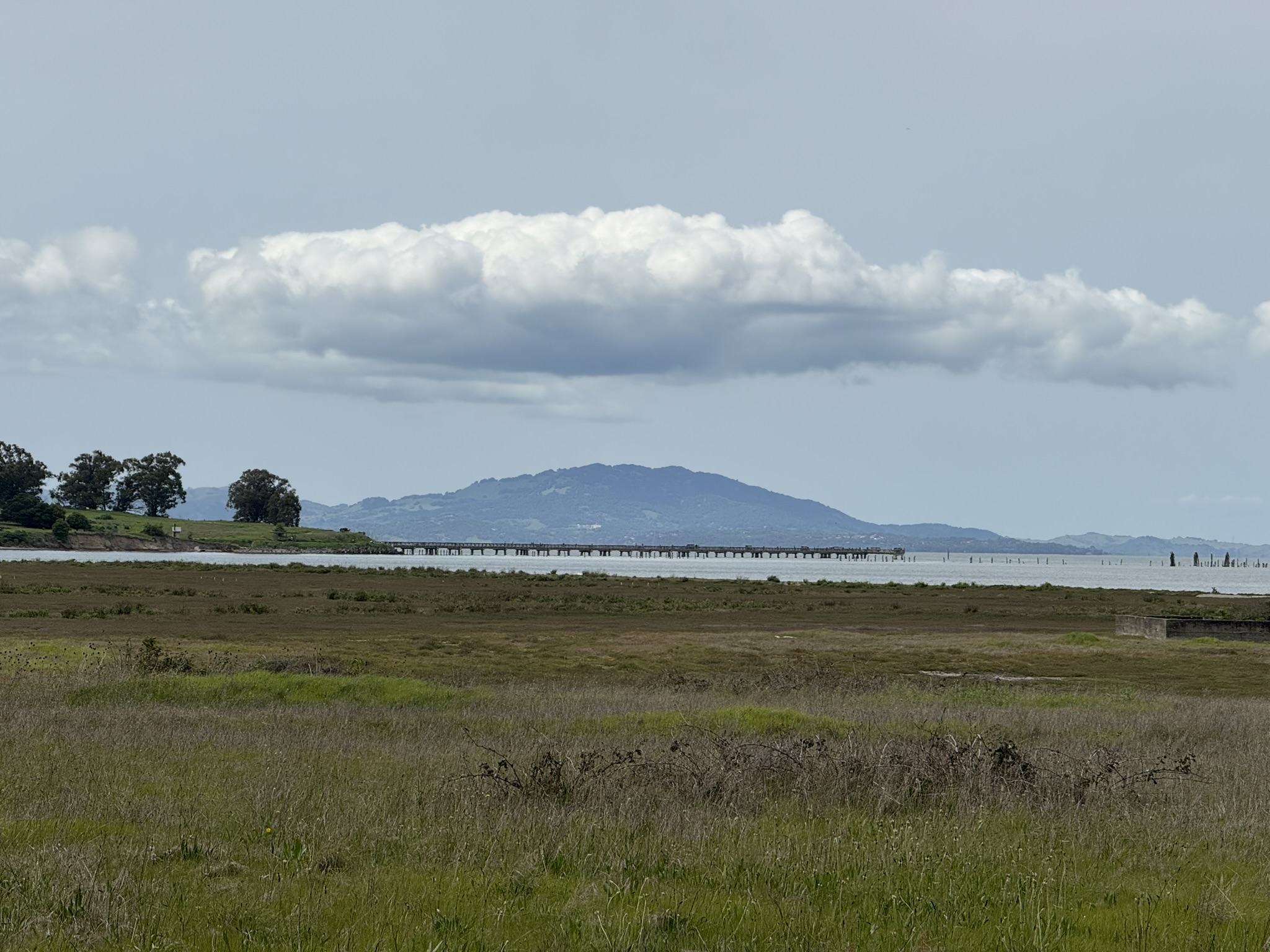 Point Pinole Regional Shoreline